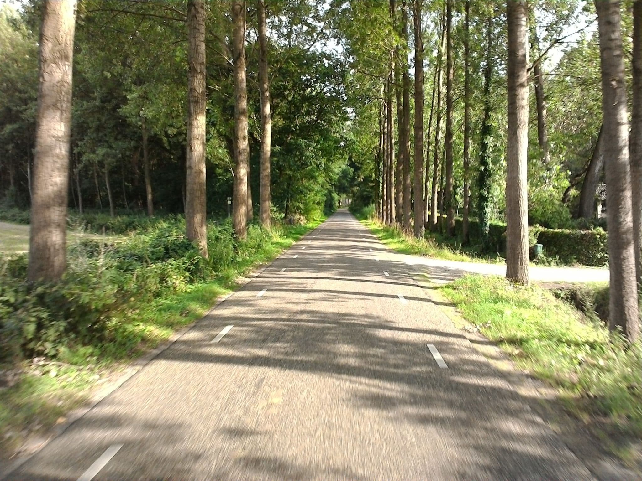 Street view near 't Hoefje, Liempde — © mprins (CC BY-SA · Mapillary)