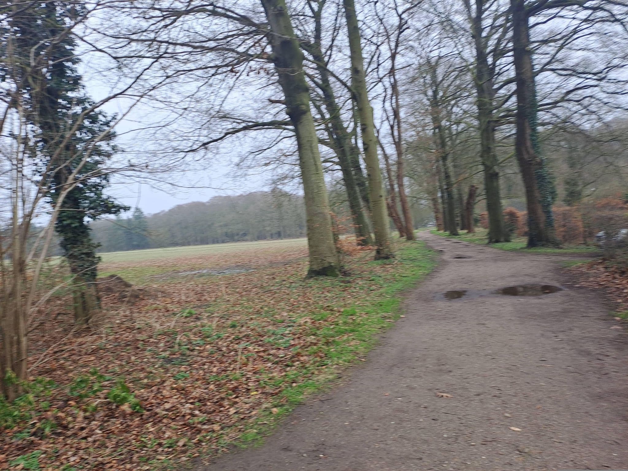 Street view near Moersbergen, Doorn — © multi_wandel (CC BY-SA · Mapillary)
