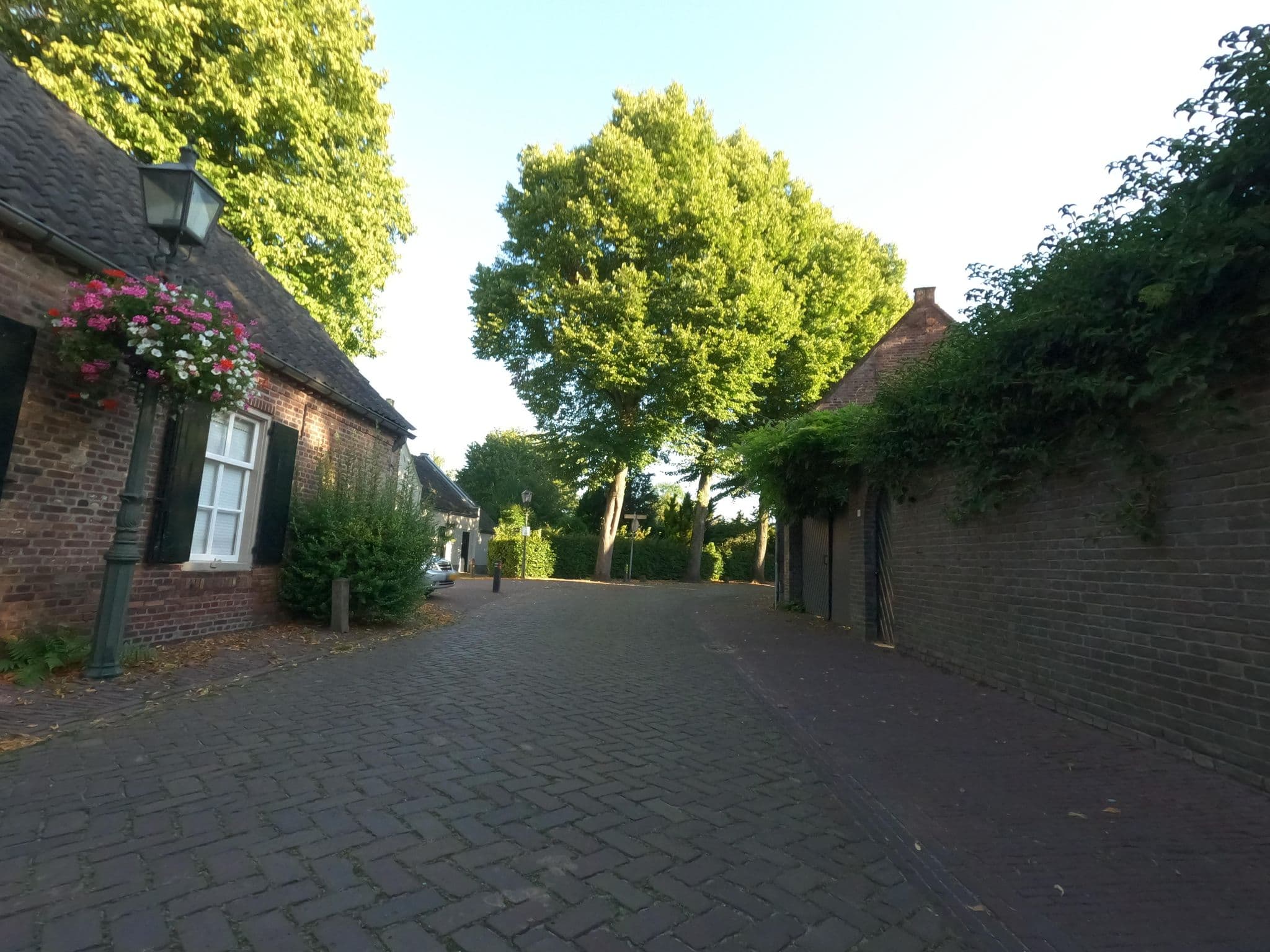 Street view near B&B Huys en Hoff Aen Den Haspel, Oirschot — © hektor1989 (CC BY-SA · Mapillary)
