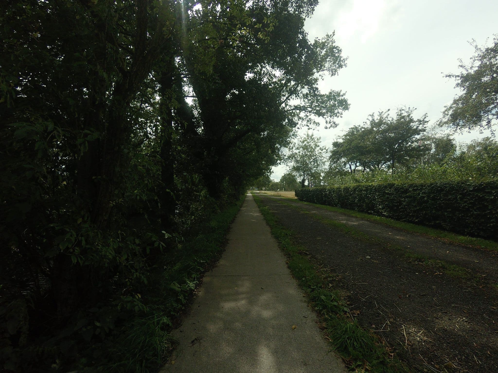 Street view near Bed en Breakfast De Boksloot, Appelscha — © ankeric (CC BY-SA · Mapillary)