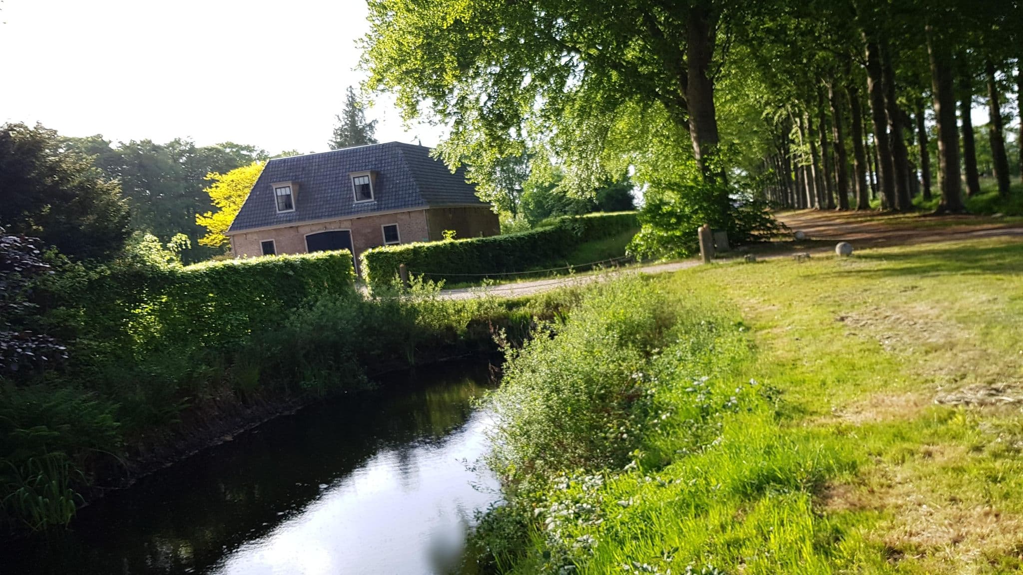 Street view near Hoeve op Vollenhof, t Loo — © multi_wandel (CC BY-SA · Mapillary)