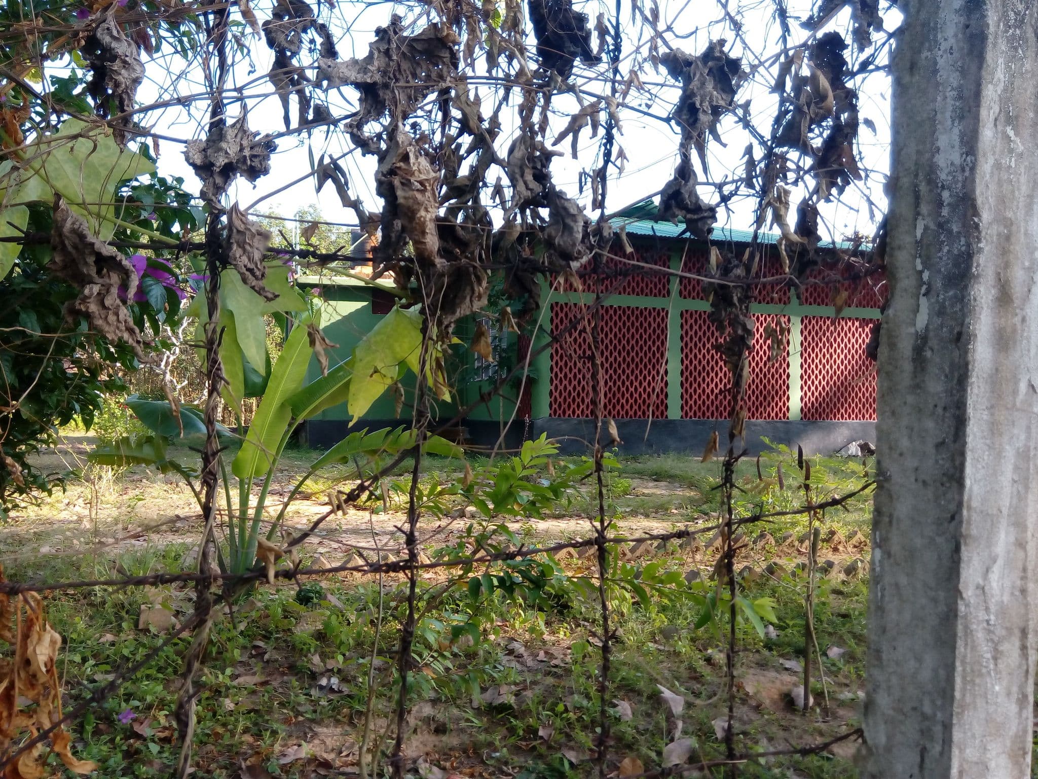 Street view near Ramu Rubber Bagan Guest House রামু রাবার বাগান অতিথিশালা, Cox’s Bāzār — © tasauf1980 (CC BY-SA · Mapillary)