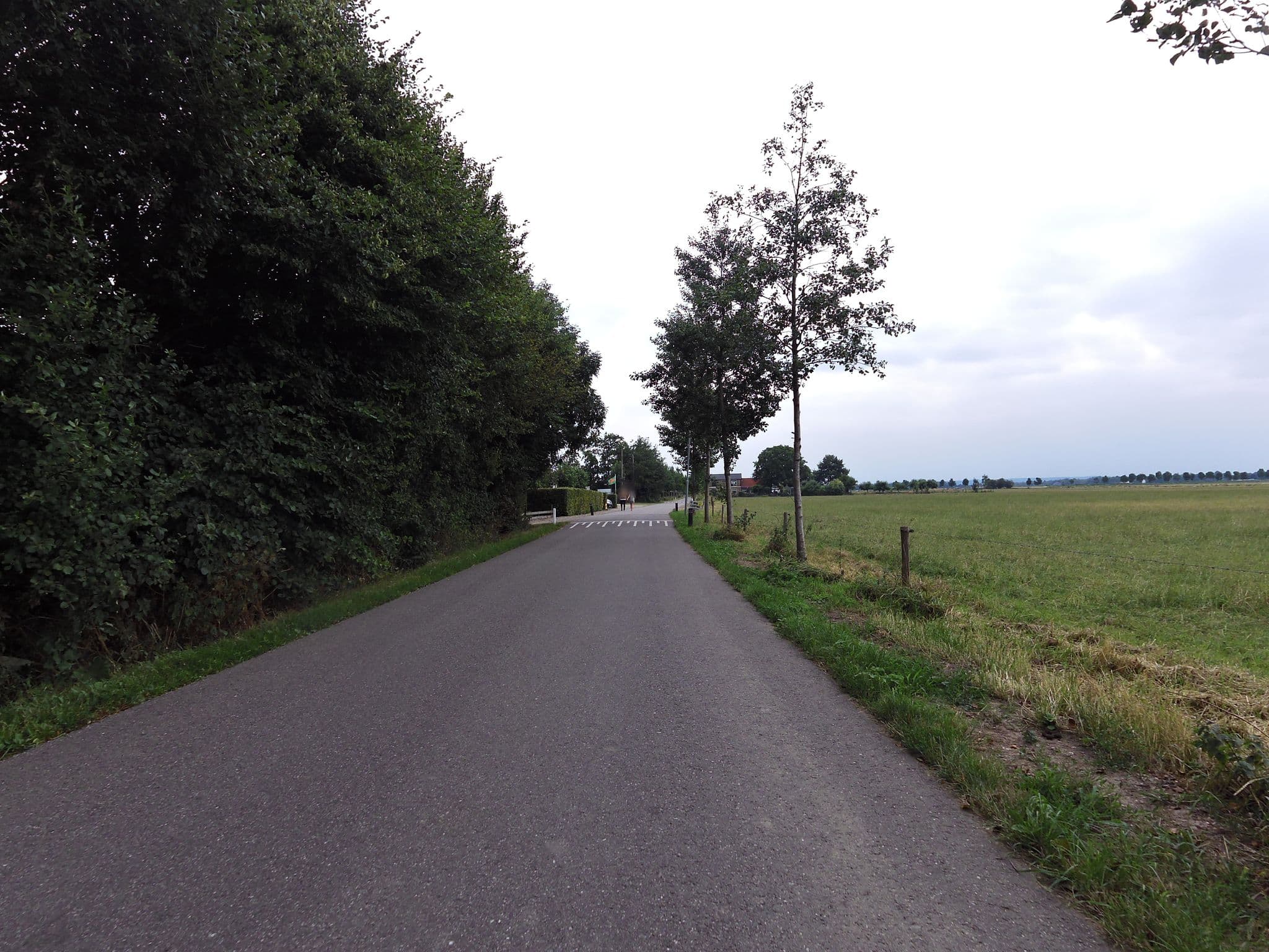 Street view near De Rijnhof, Pannerden — © wimmel (CC BY-SA · Mapillary)