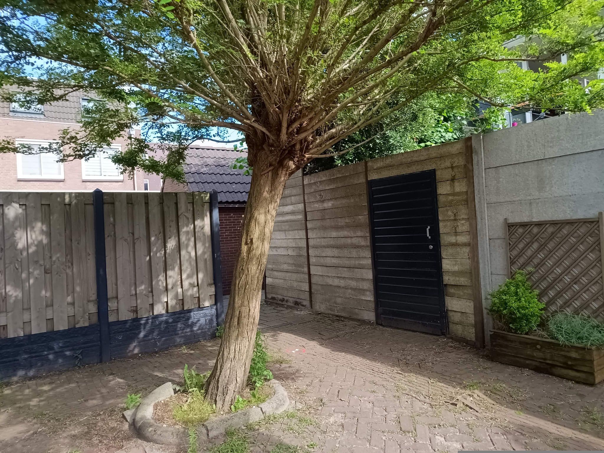 Street view near Huys van Leyden, Leiden — © zuse (CC BY-SA · Mapillary)