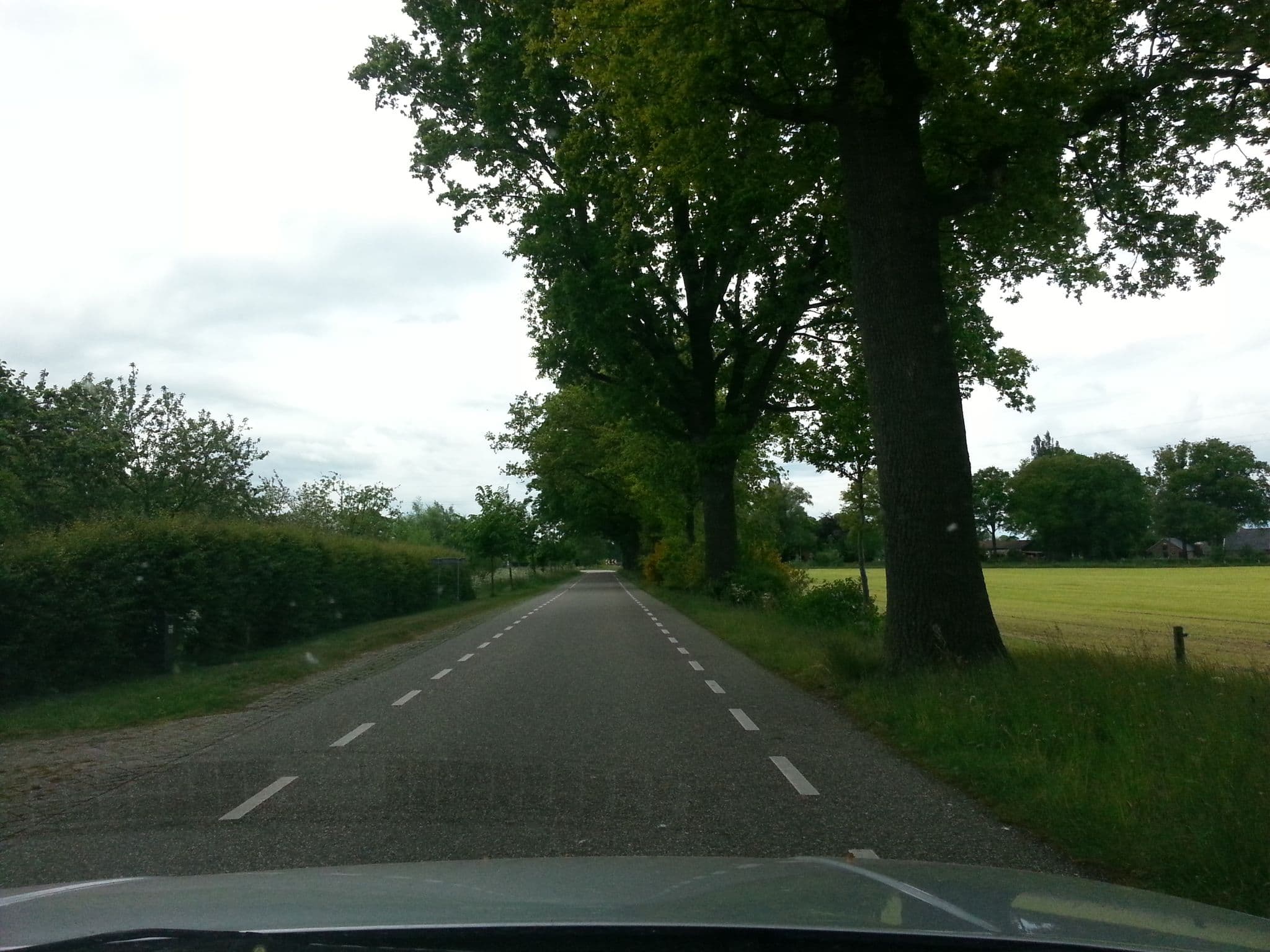 Street view near De Vlierhof, Beltrum — © peewee32 (CC BY-SA · Mapillary)