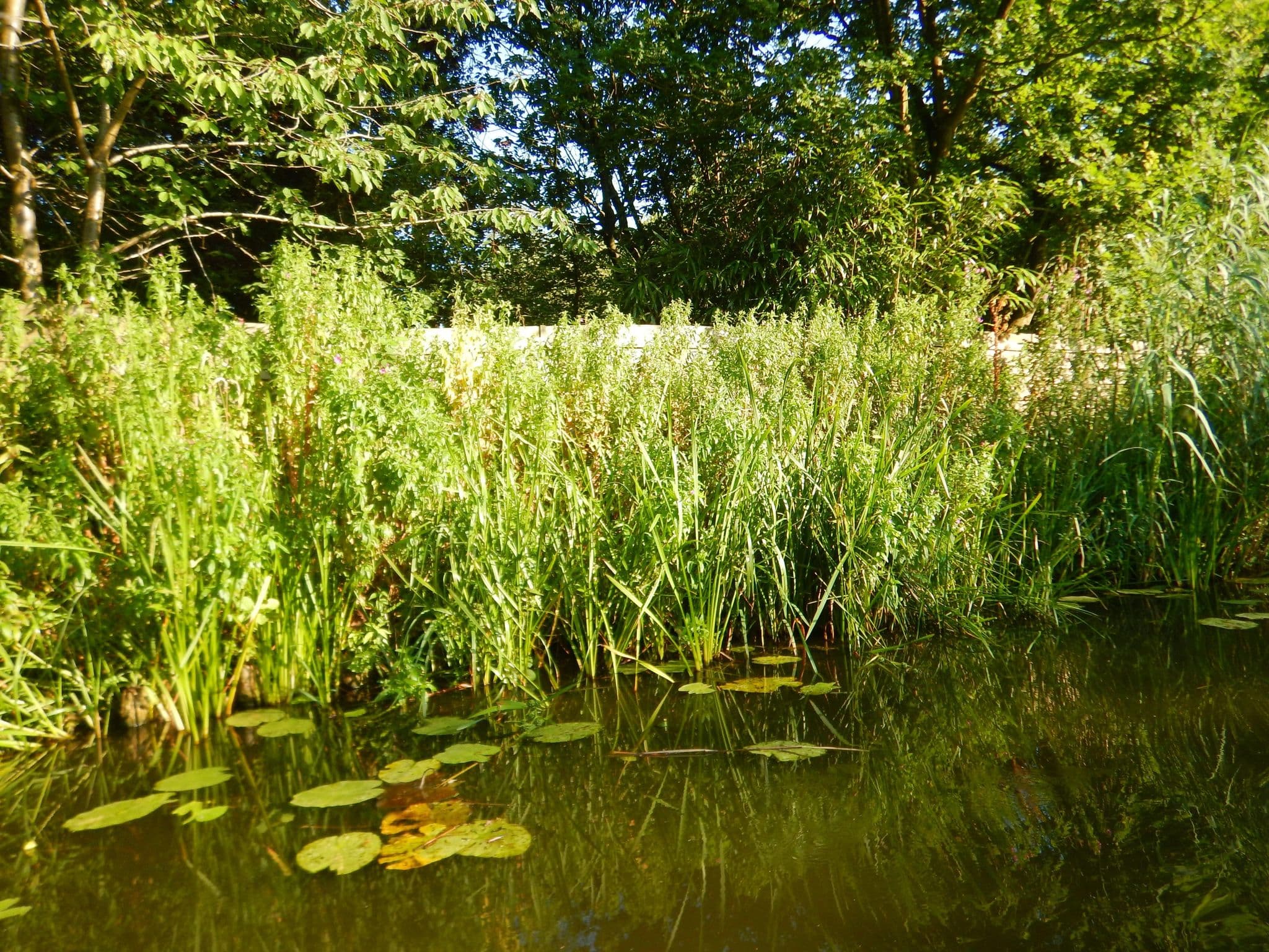 Street view near Amsterdamse Lichtbond Naturistenvereniging Dagrecreatie, Ankeveense Rade — © multi_vaarwegen (CC BY-SA · Mapillary)