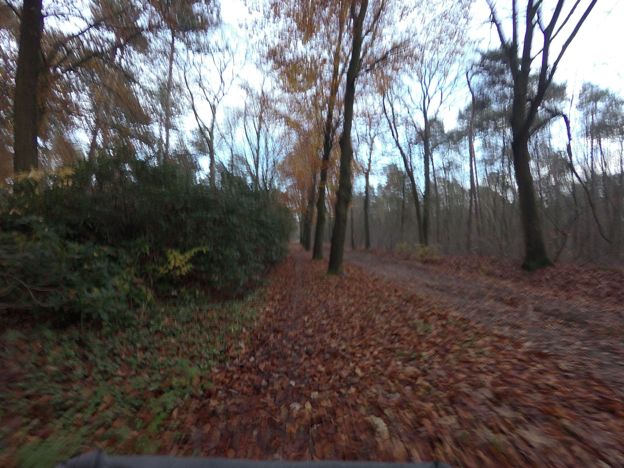 Street view near Buitenleven - De Wulp, Chaam — © ankeric (CC BY-SA · Mapillary)