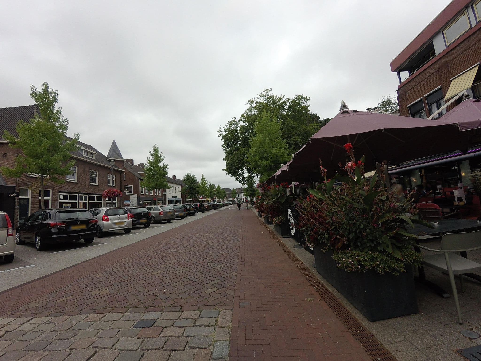 Street view near Grandcafé & Hotel Het Wapen van Elst, Elst — © ankeric (CC BY-SA · Mapillary)