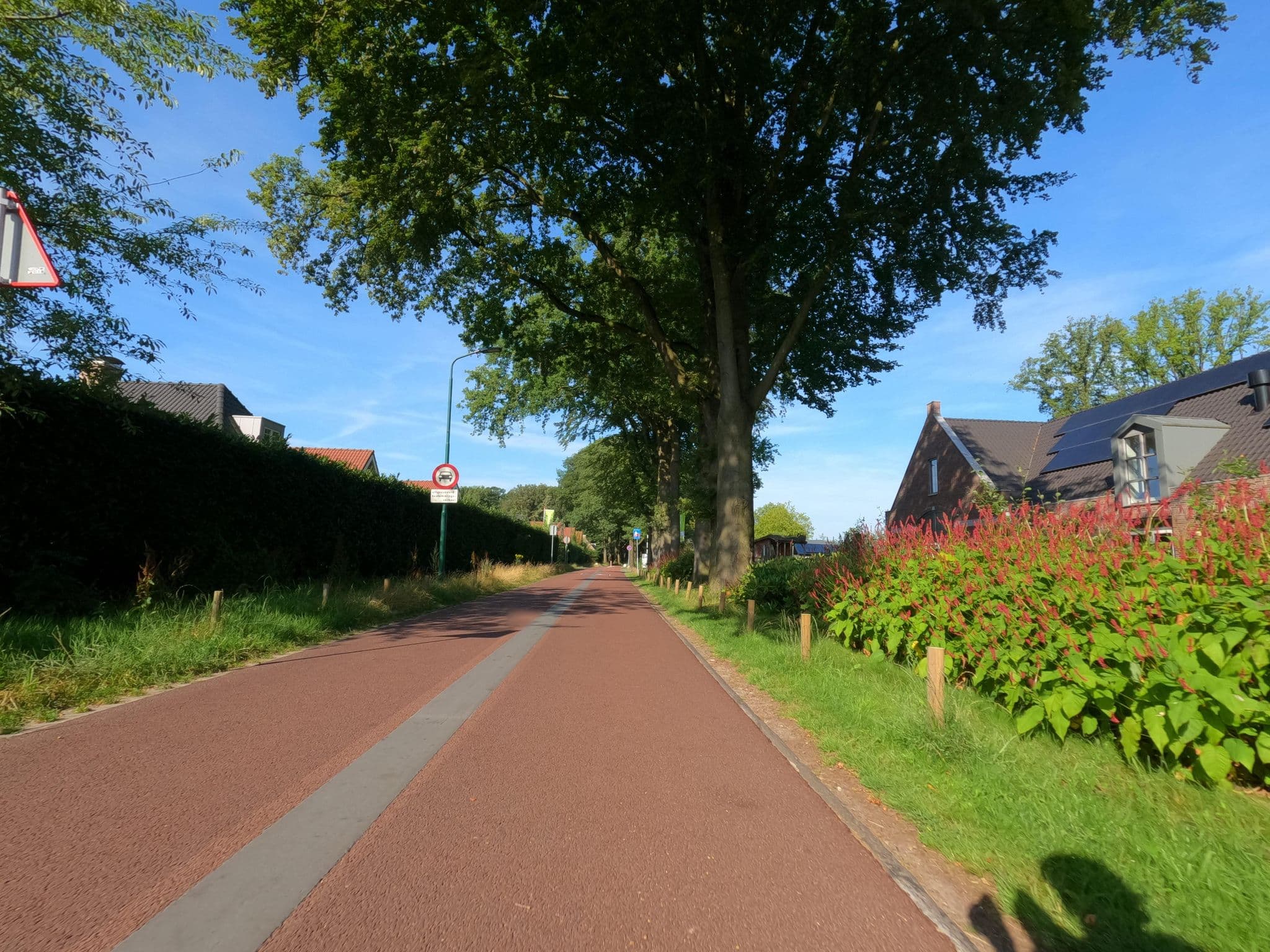 Street view near Landal Kaatsheuvel, Waalwijk — © hektor1989 (CC BY-SA · Mapillary)