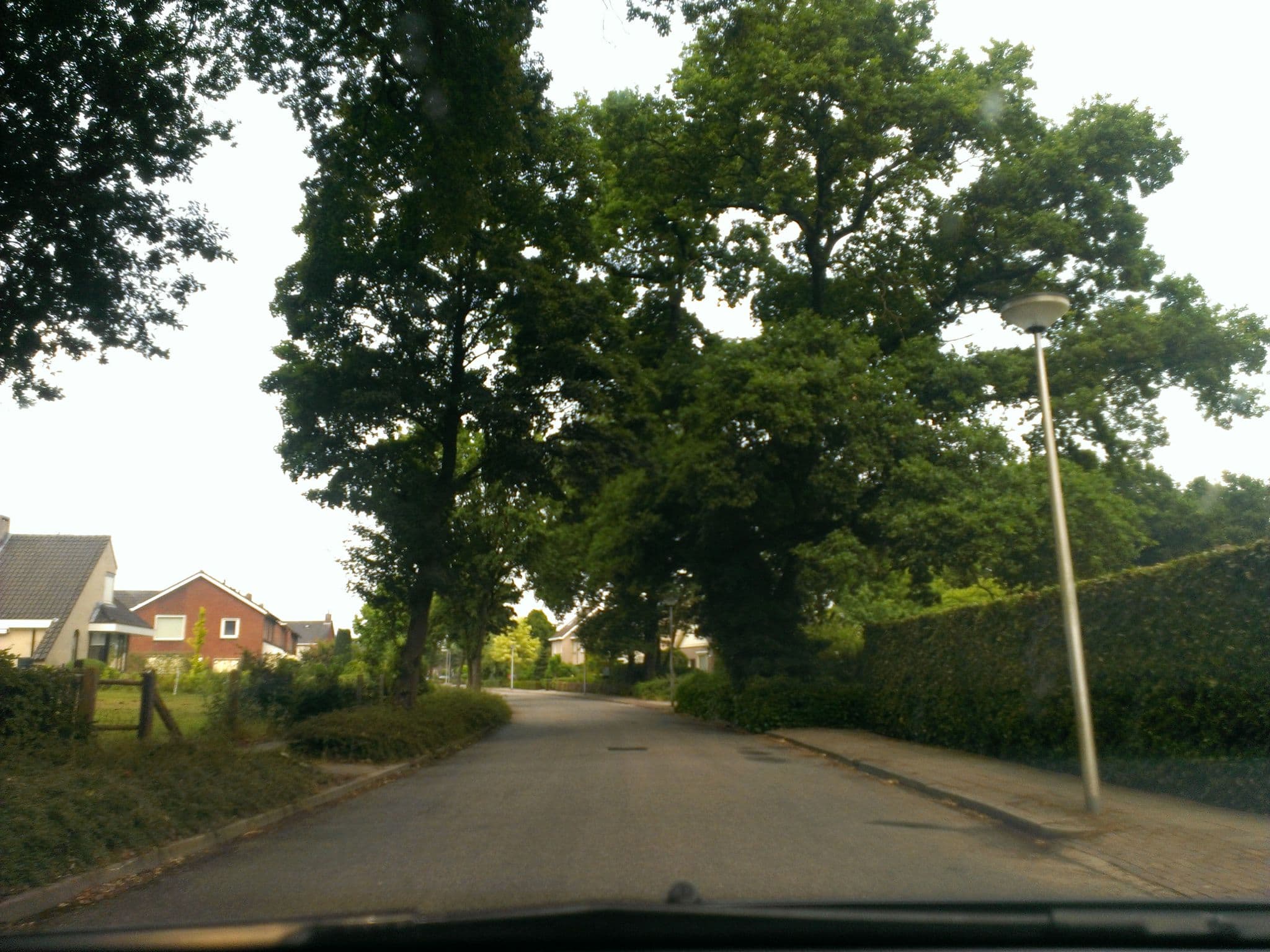 Street view near Olde Sasbrink, Nijverdal — © montfrooij (CC BY-SA · Mapillary)