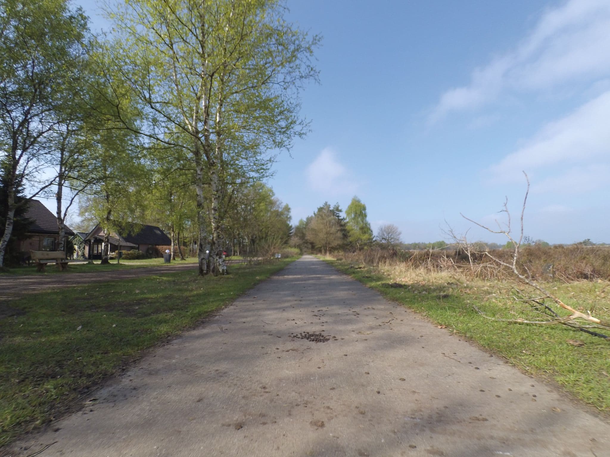 Street view near Heidezicht bed & breakfast, Elspeet — © peewee32 (CC BY-SA · Mapillary)