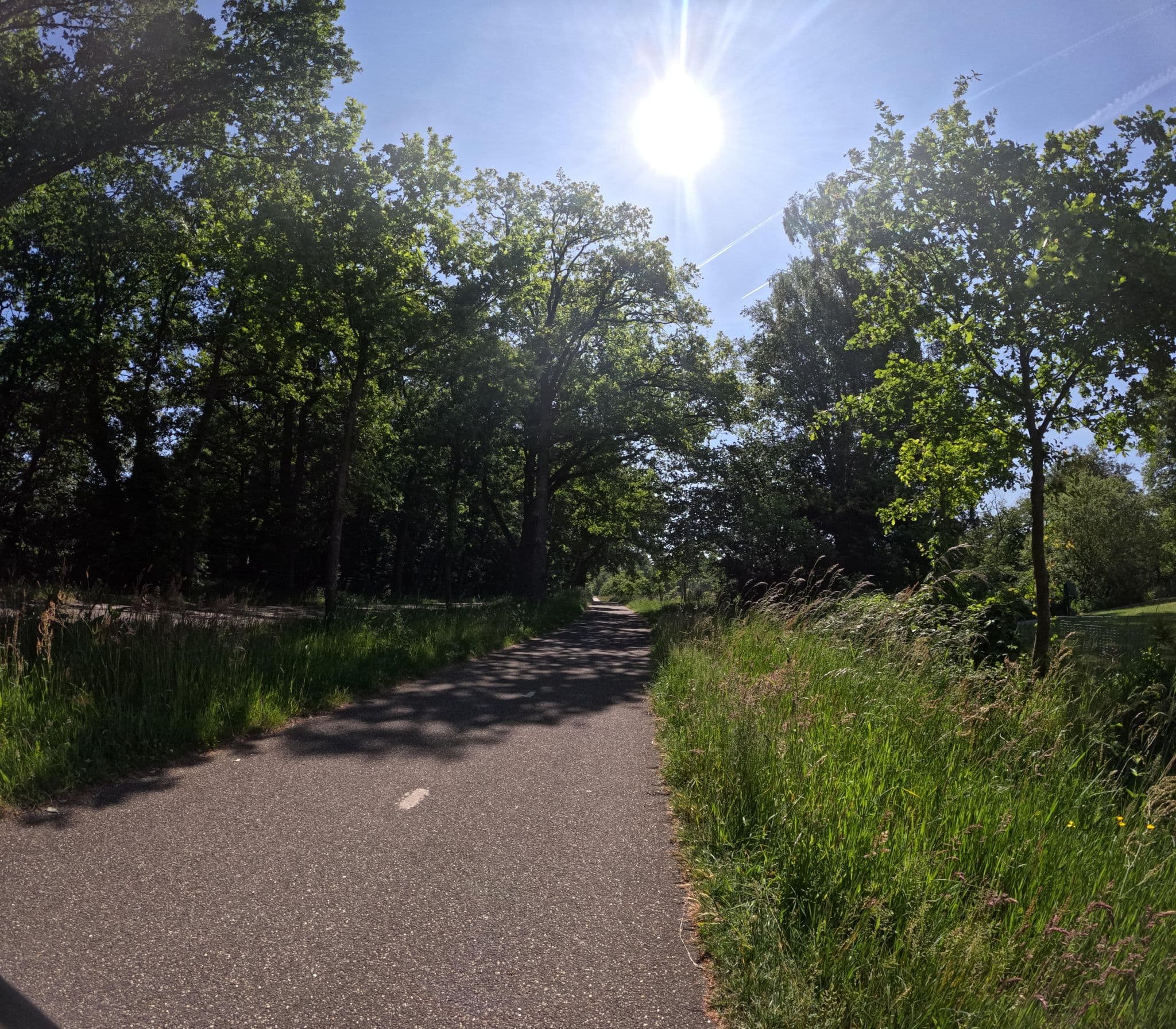 Street view near Camperplaats Landgoed de Stekkenkamp, Ommen — © geim (CC BY-SA · Mapillary)