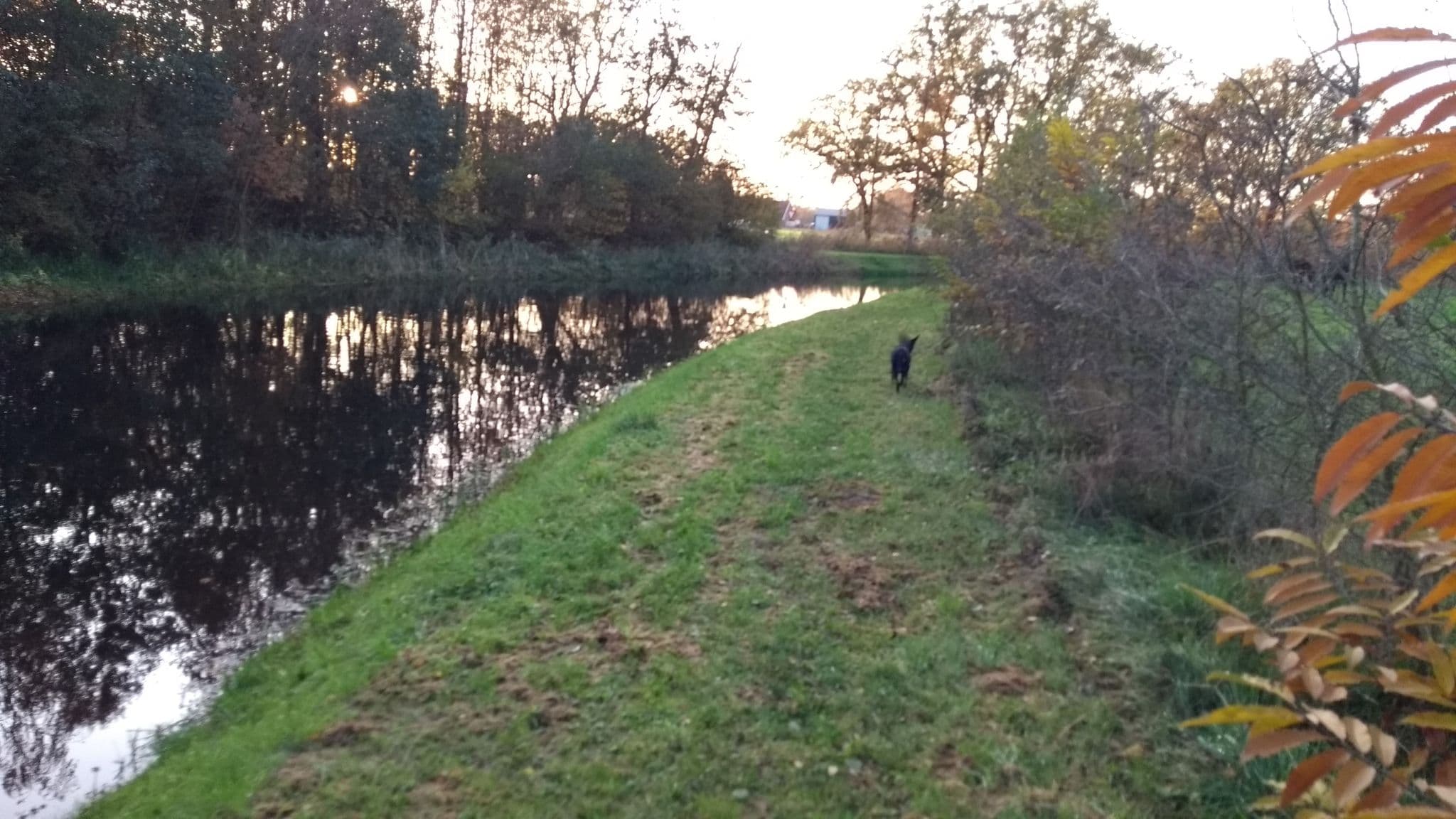Street view near Paalkampeerterrein Weleveld, Borne — © meloentje (CC BY-SA · Mapillary)