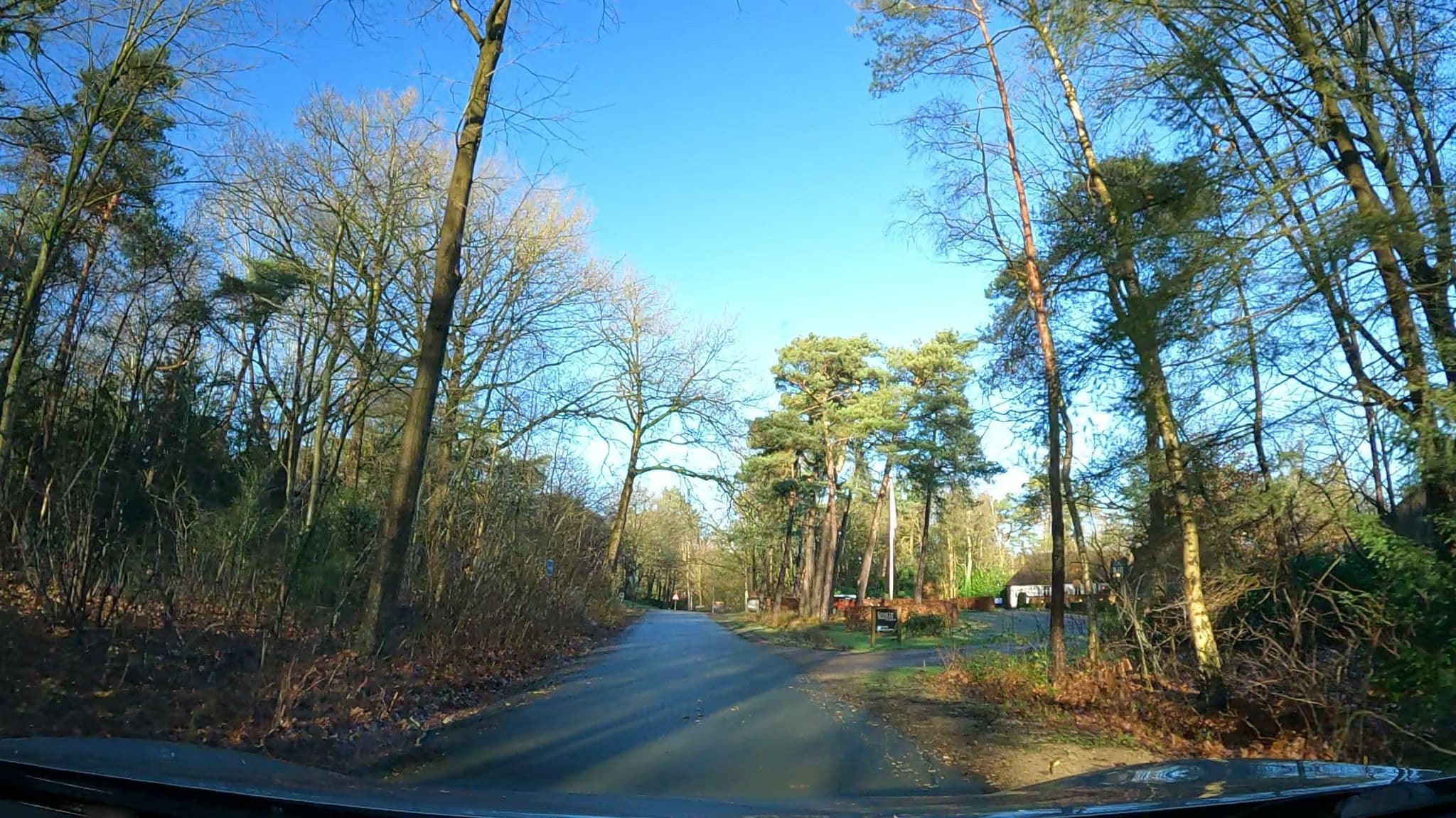 Street view near De Swarte Ruijter, Rijssen — © thewizard (CC BY-SA · Mapillary)