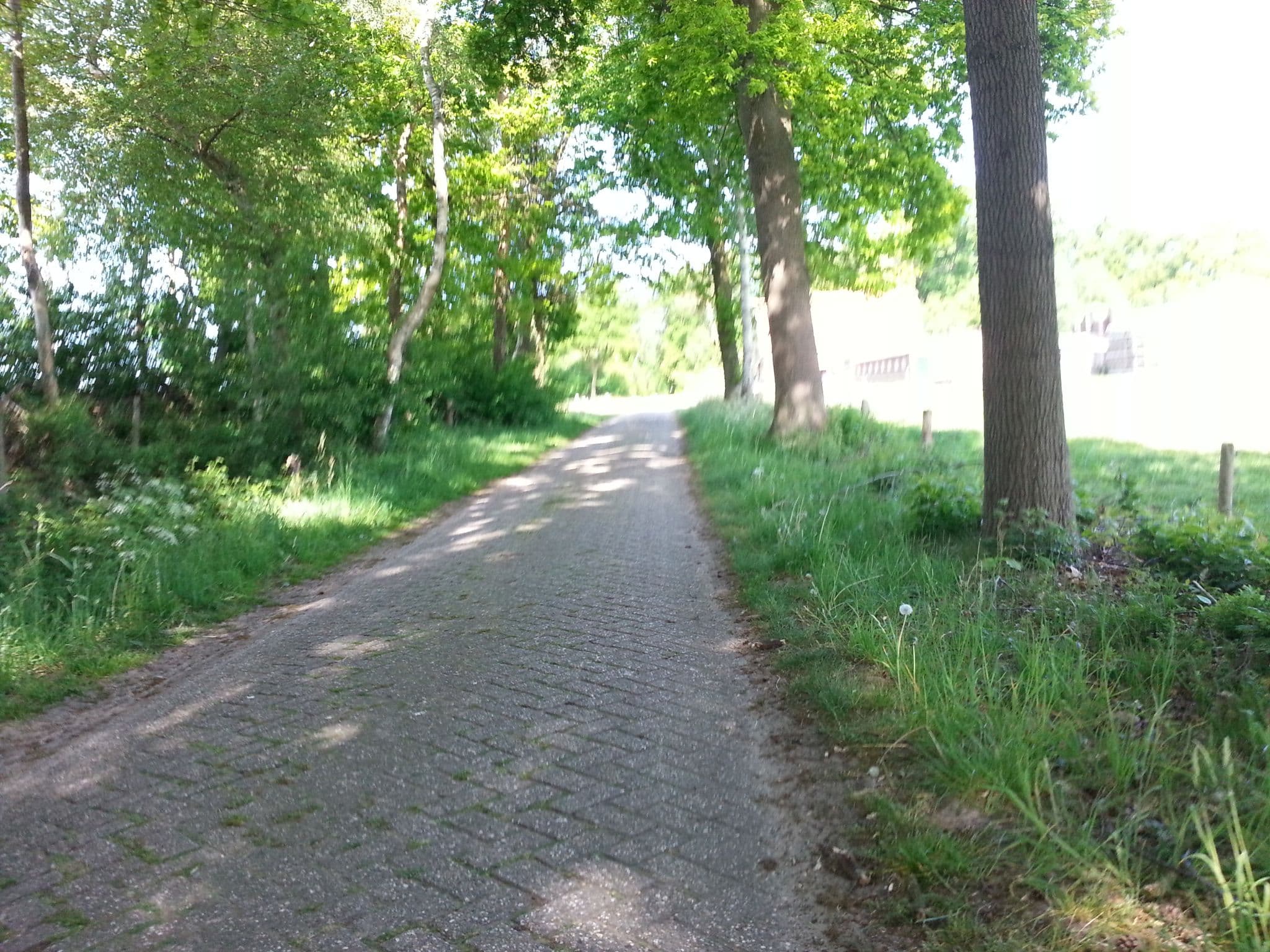 Street view near Erve Berg en Dal, Eibergen — © peewee32 (CC BY-SA · Mapillary)