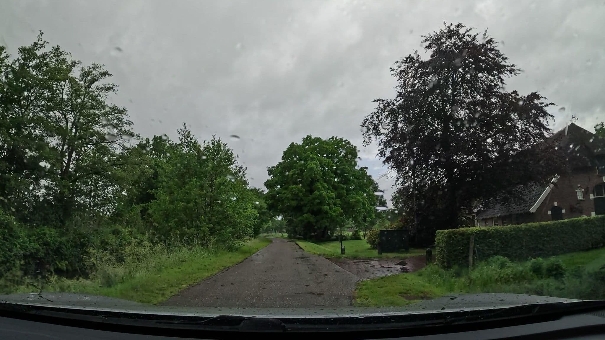 Street view near n' Schutt 'n, Enter — © thewizard (CC BY-SA · Mapillary)