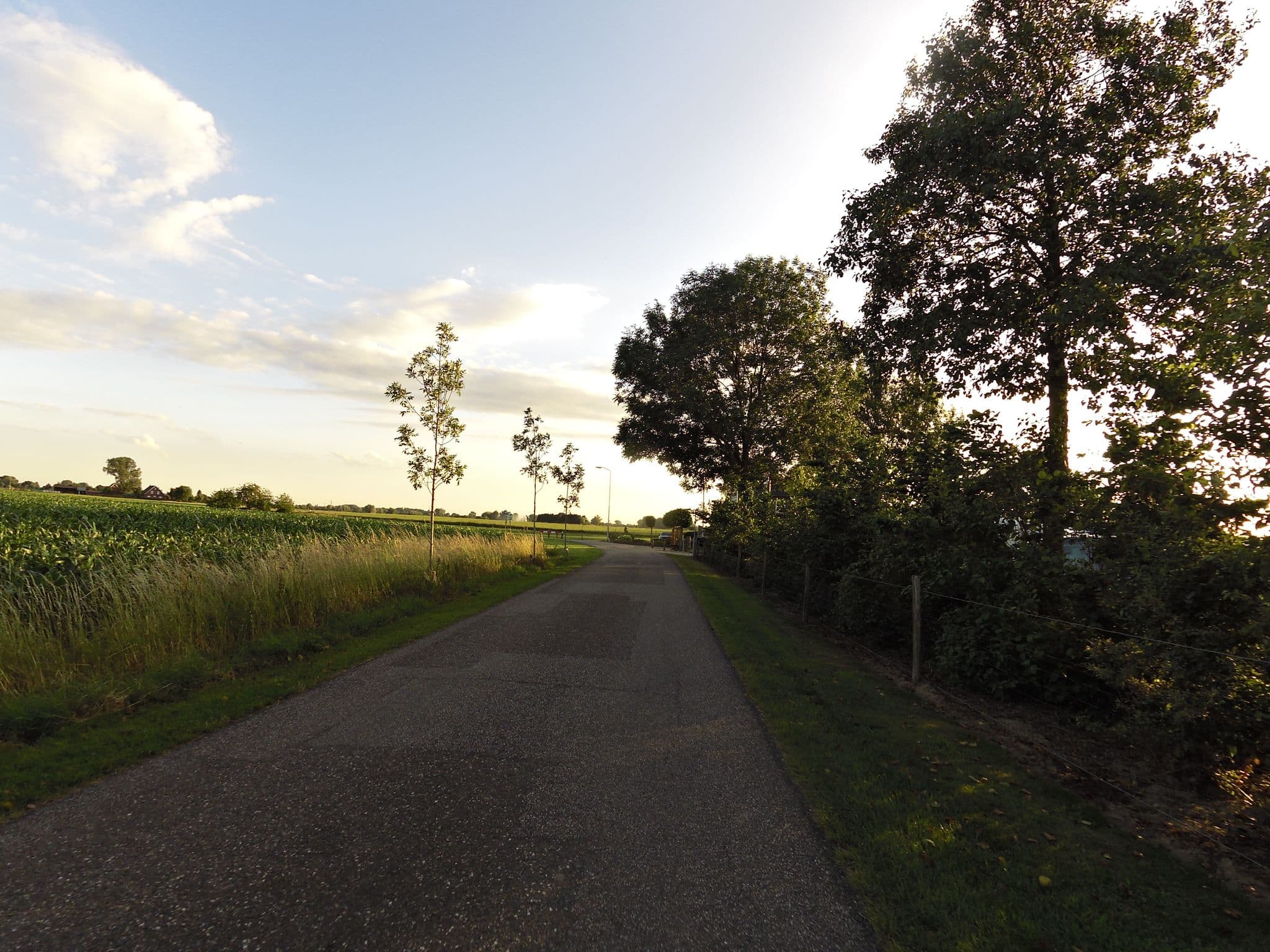 Street view near 't Oostenriek, Gendringen — © wimmel (CC BY-SA · Mapillary)