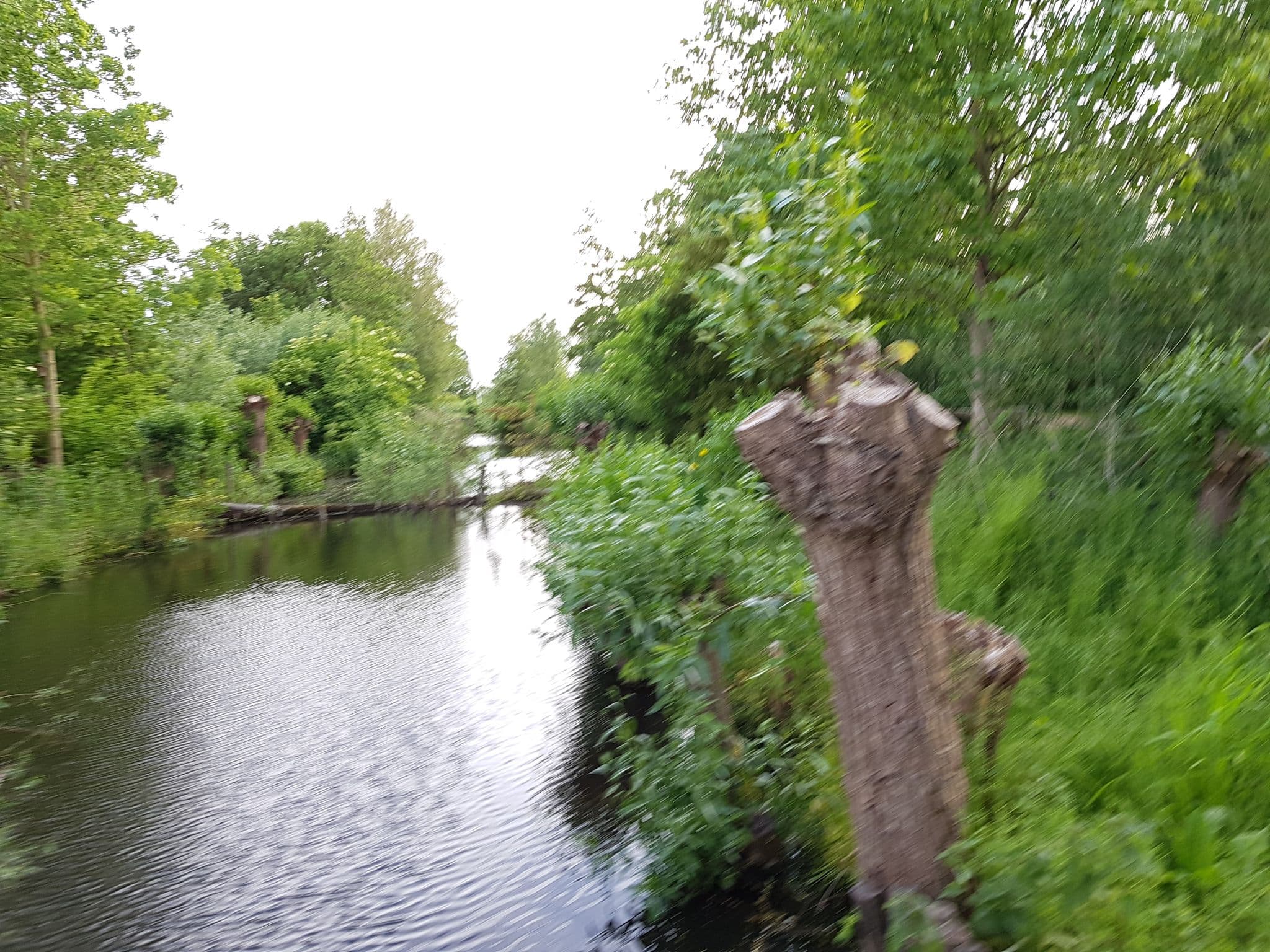 Street view near Natuurkampeerterrein Amstelkade, Wilnis — © multi_vaarwegen (CC BY-SA · Mapillary)