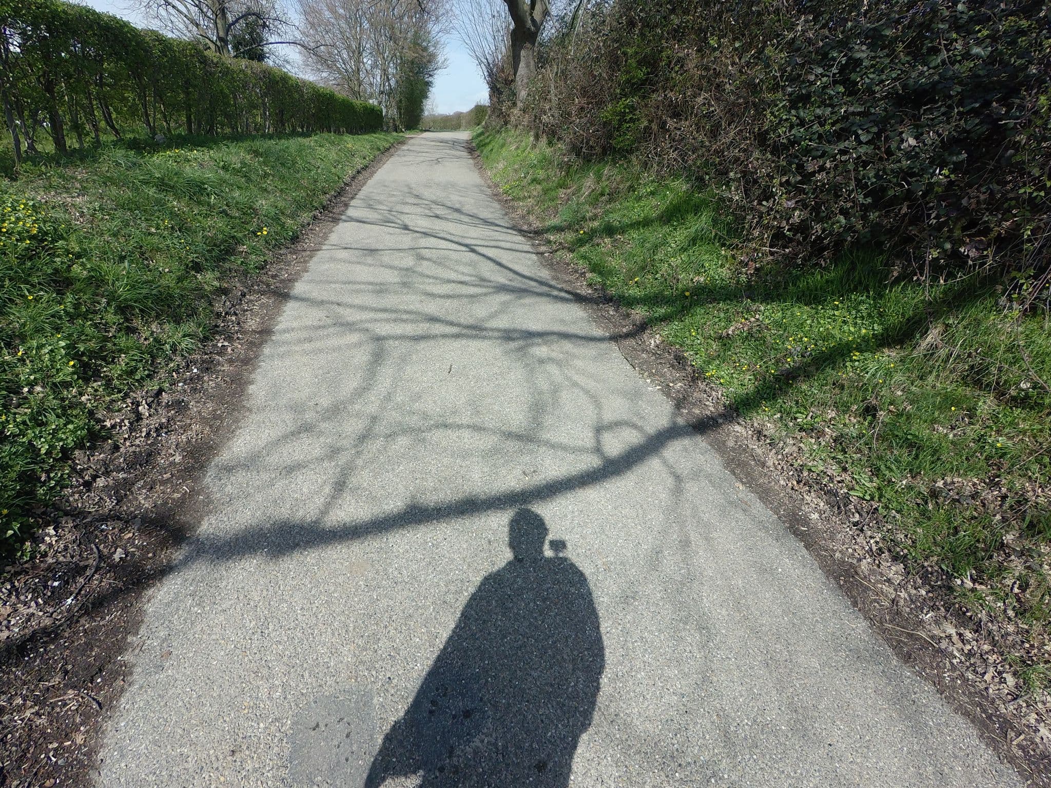 Street view near Hoeve Camping Lingberg, Mechelen — © madel (CC BY-SA · Mapillary)