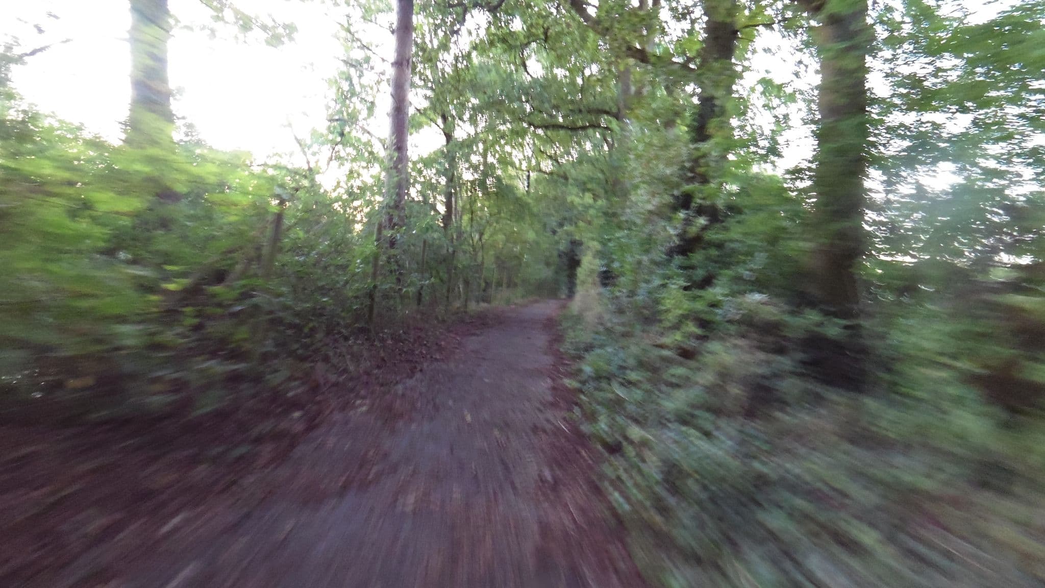Street view near Caravanpark Prinsenburg, Den Dolder — © multimodaal (CC BY-SA · Mapillary)