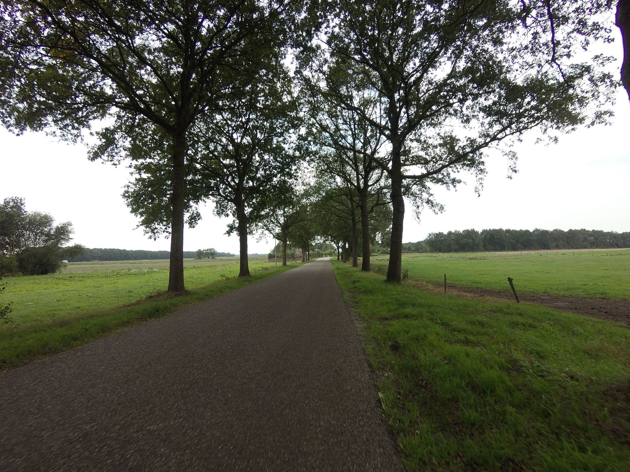 Street view near Appelo's Farm, Marsdijk — © ankeric (CC BY-SA · Mapillary)