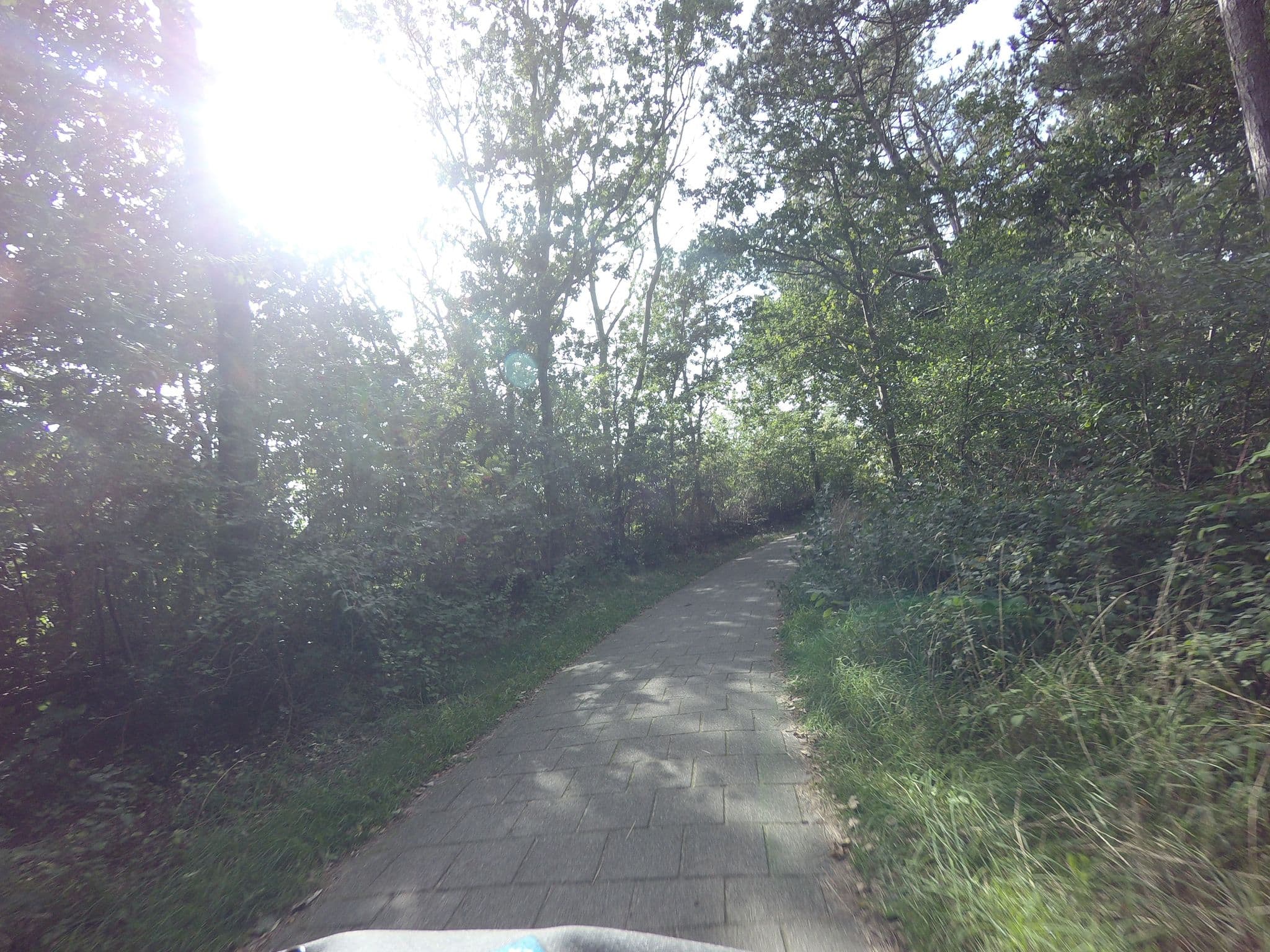 Street view near Bungalowpark 't Hoogelandt, De Koog — © ankeric (CC BY-SA · Mapillary)