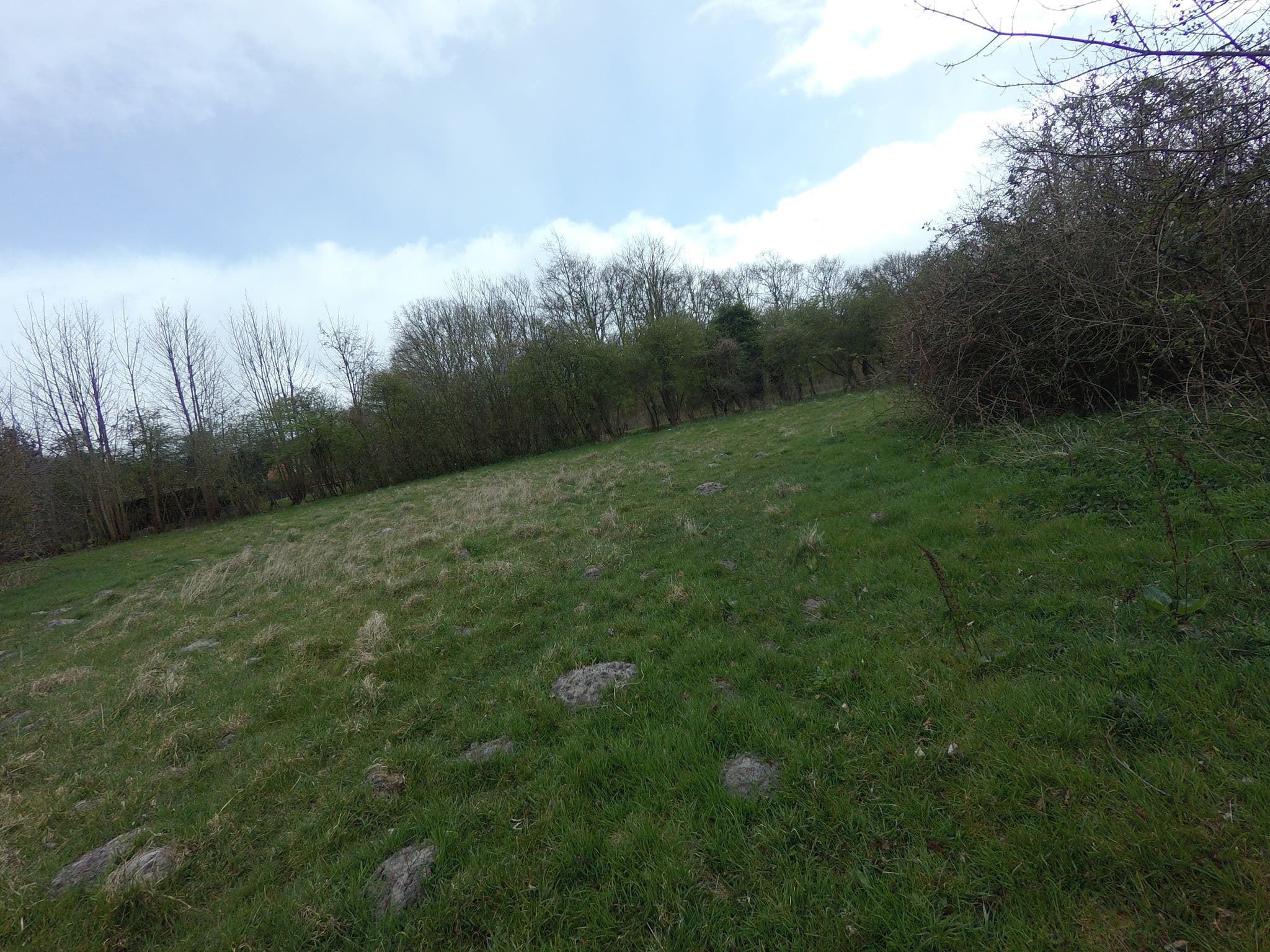 Street view near Kampeerterrein Duinen van Oostvoorne, Oostvoorne — © ankeric (CC BY-SA · Mapillary)