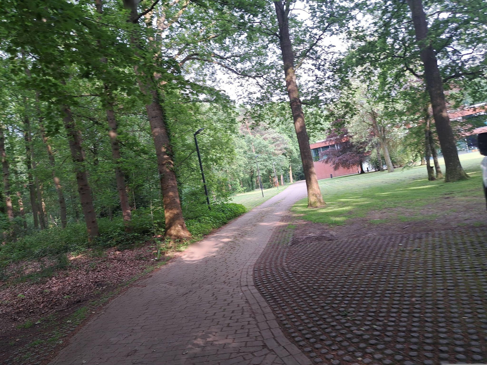 Street view near Eb&Vloed, Driebergen-Rijsenburg — © multi_wandel (CC BY-SA · Mapillary)