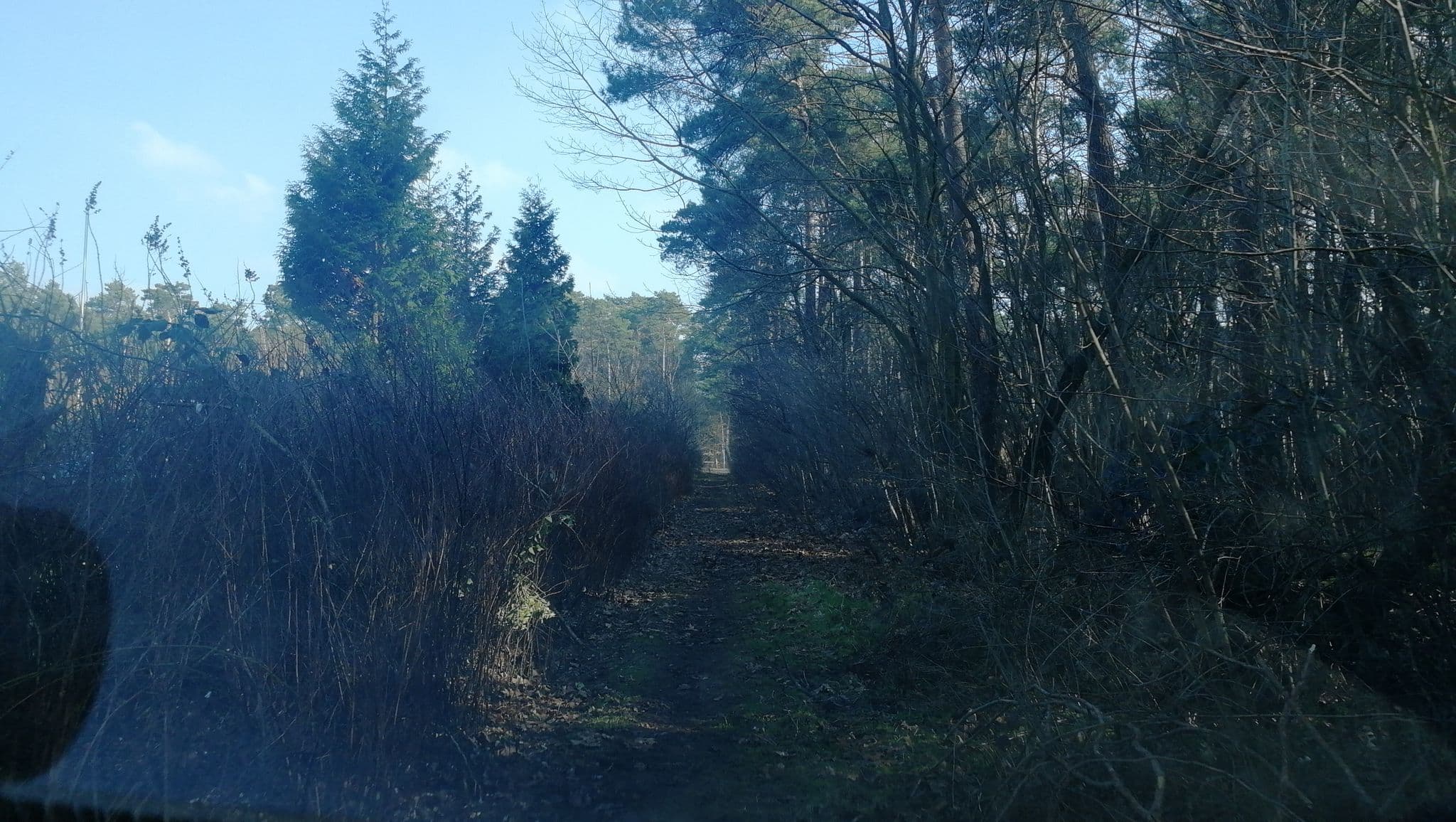 Street view near De Krosselt, Velden — © joopjrvdl (CC BY-SA · Mapillary)