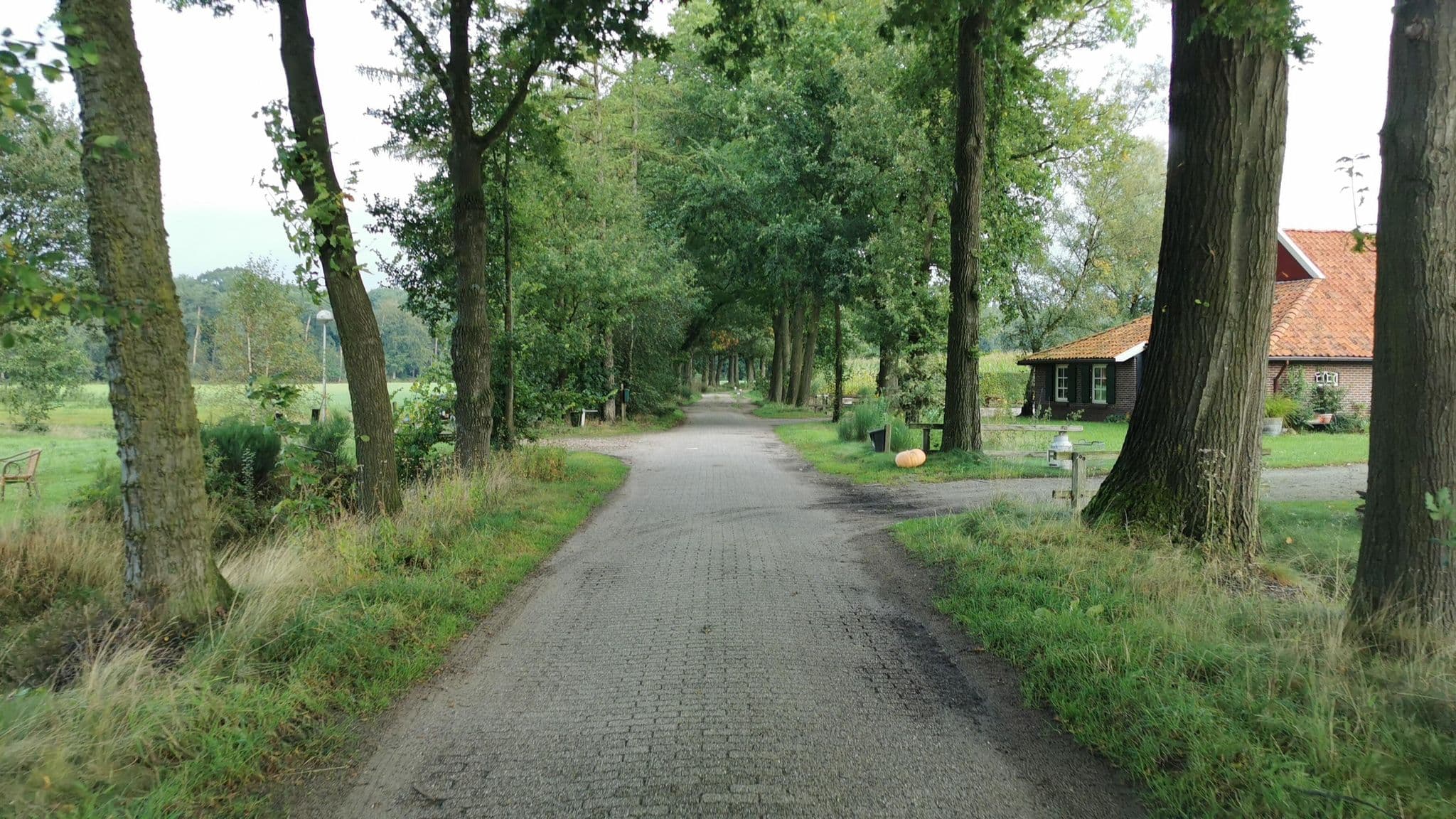 Street view near Het Kippenhokje, Bredevoort — © jonrellim (CC BY-SA · Mapillary)