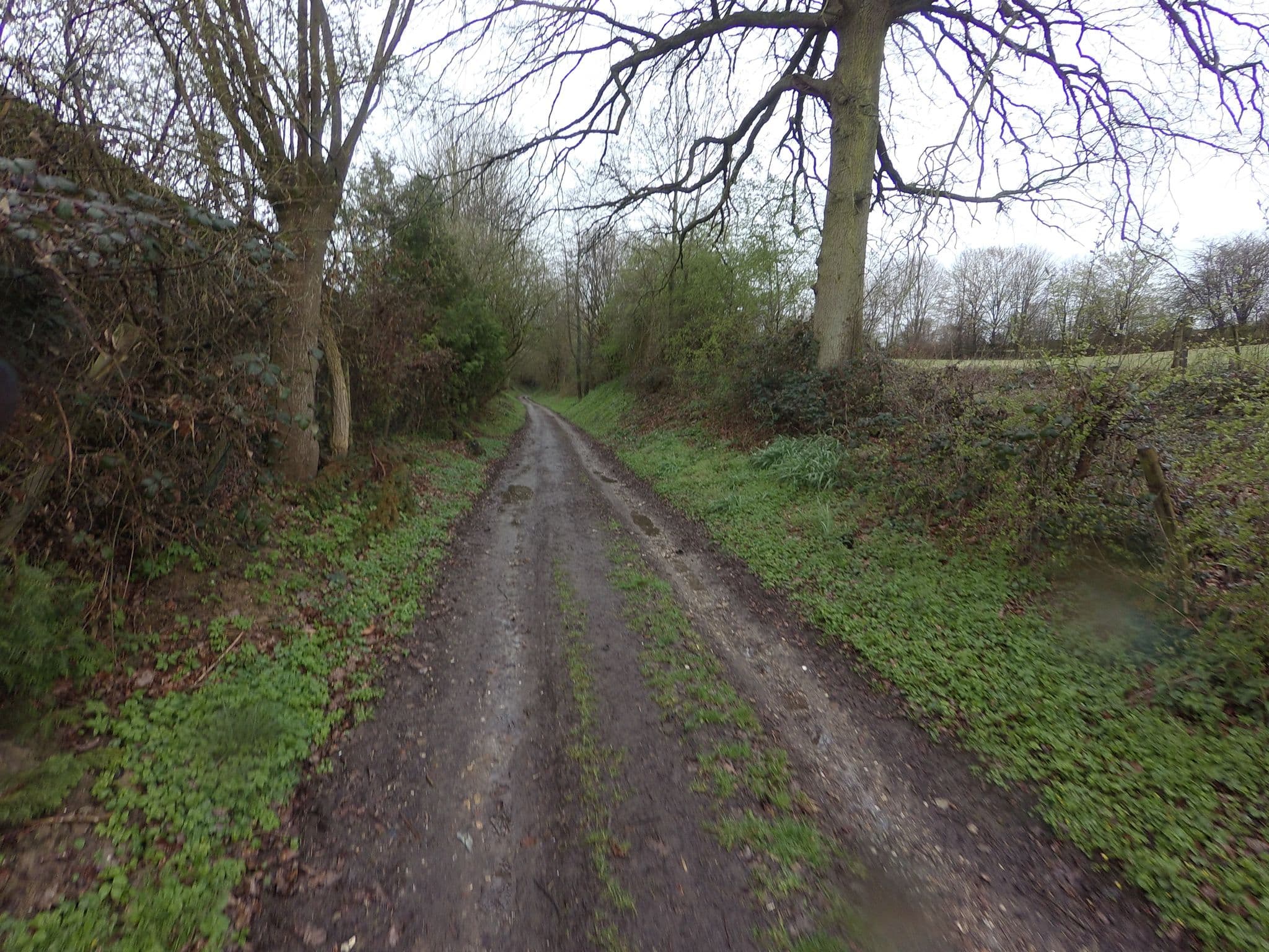 Street view near Bemelmans, Wijlre — © madel (CC BY-SA · Mapillary)