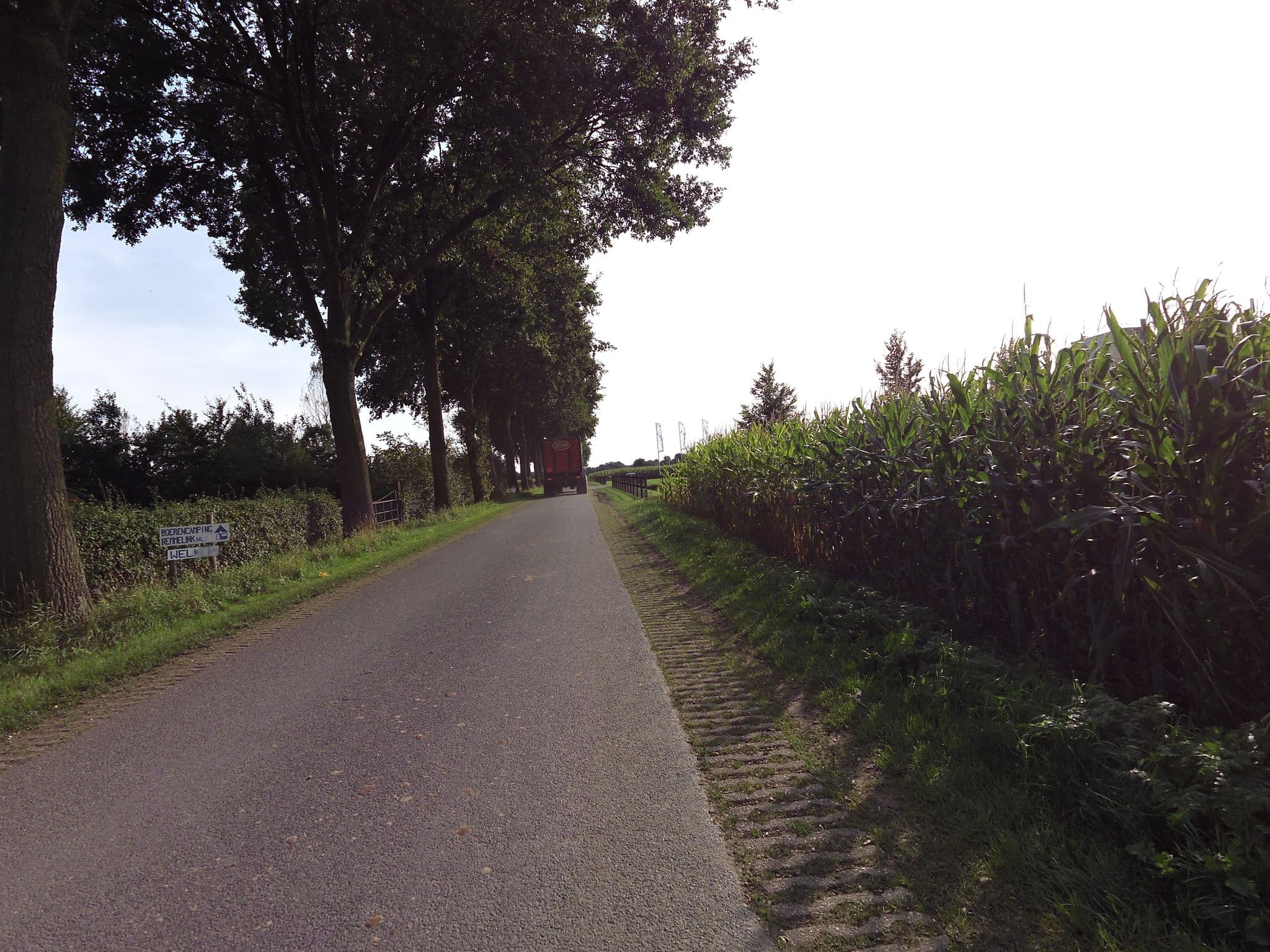Street view near Boerencamping Remmelink, Doesburg — © wimmel (CC BY-SA · Mapillary)