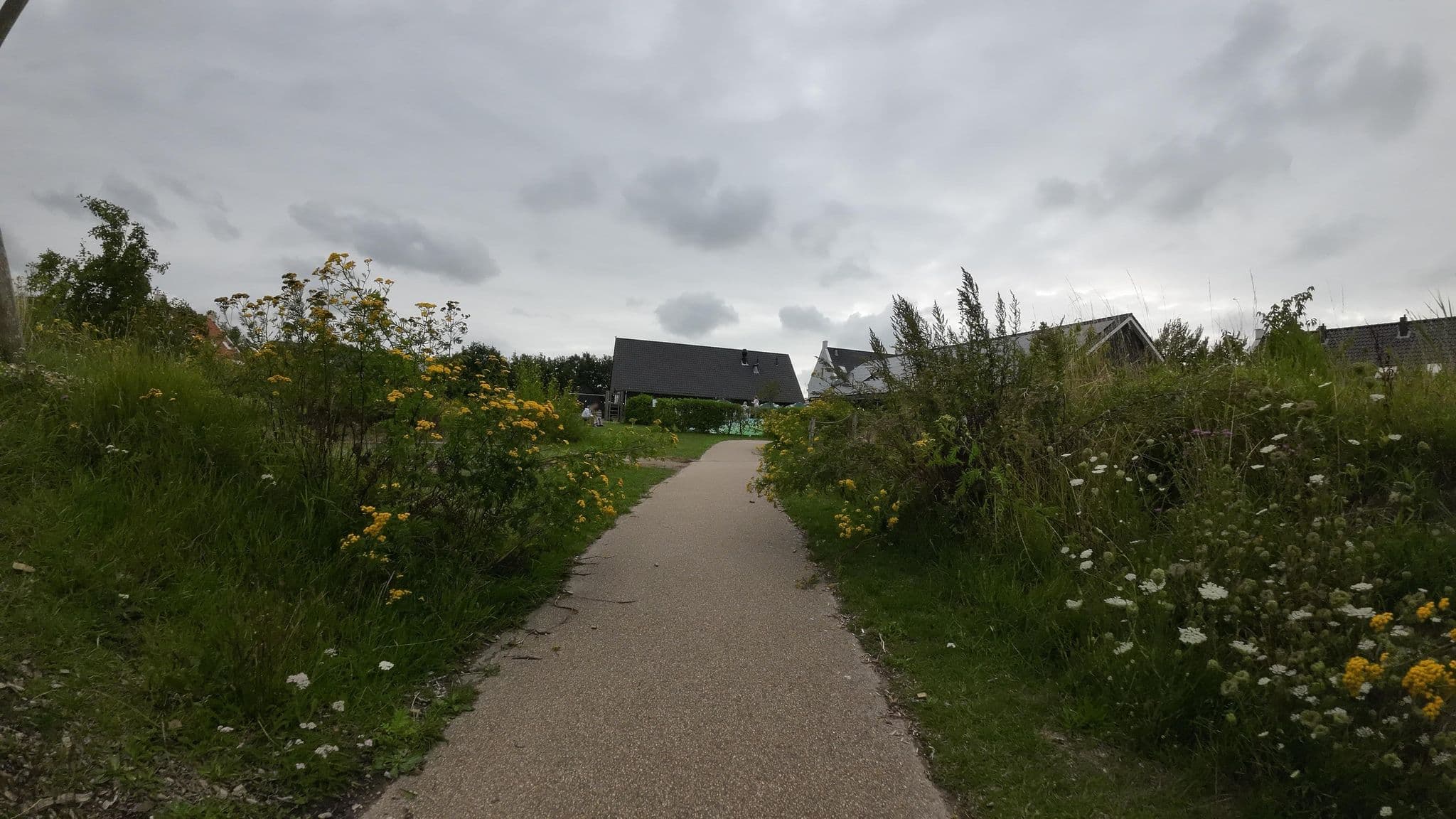 Street view near 501, Breskens