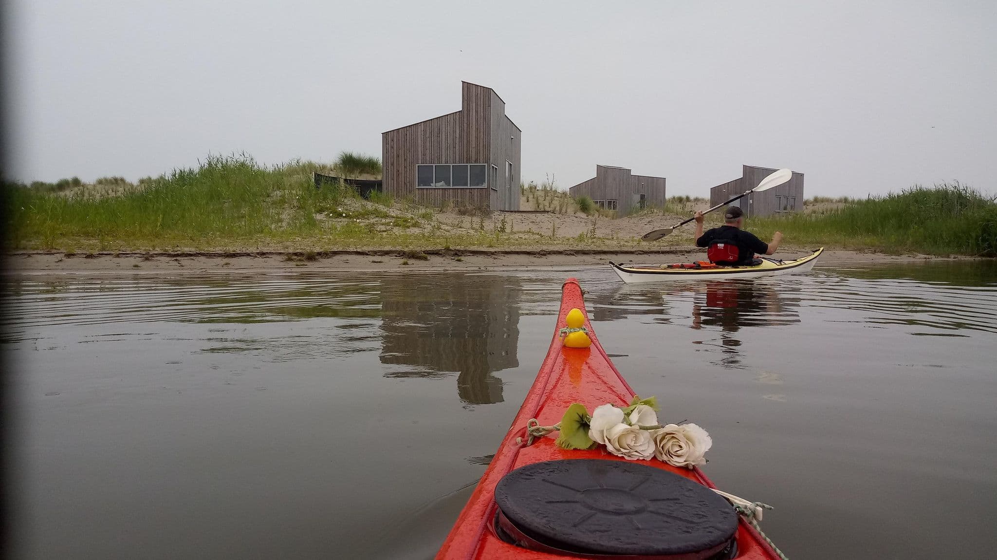 Street view near Zandoogje, Lelystad — © deleted_user (CC BY-SA · Mapillary)