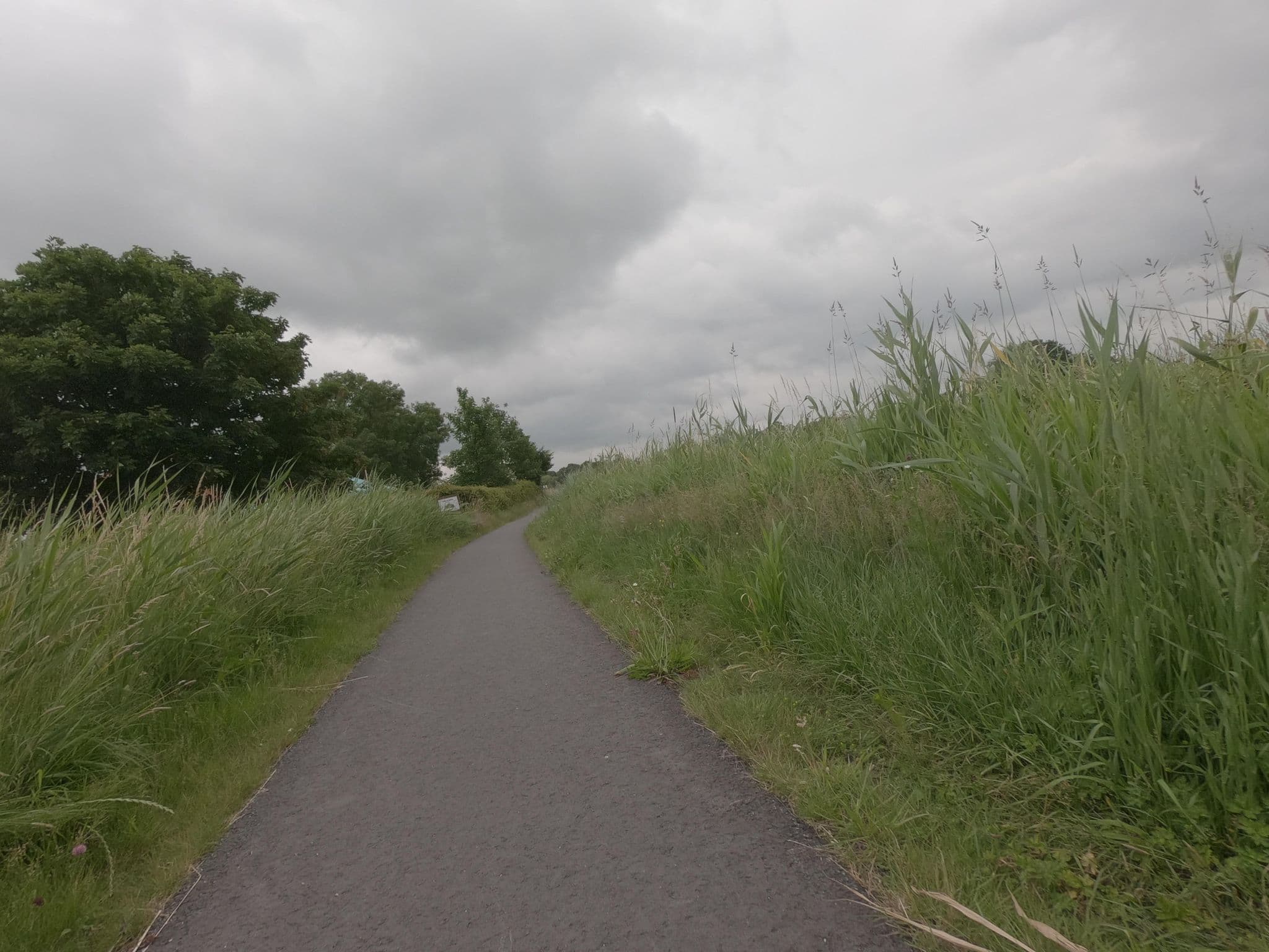 Street view near Camperplaats Jelsum, Bilgaard — © frankvival (CC BY-SA · Mapillary)