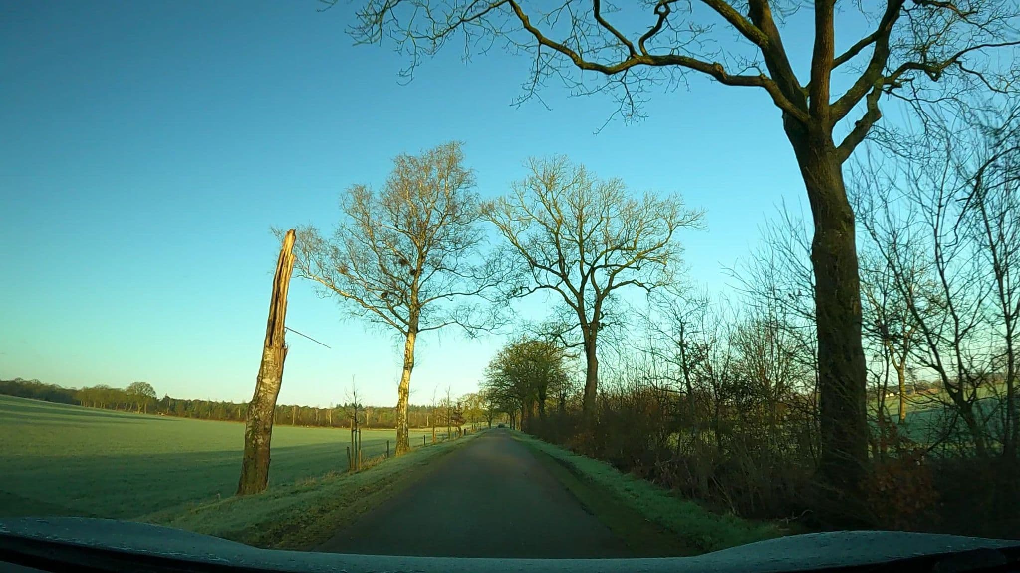 Street view near De Elshof, Rijssen — © thewizard (CC BY-SA · Mapillary)