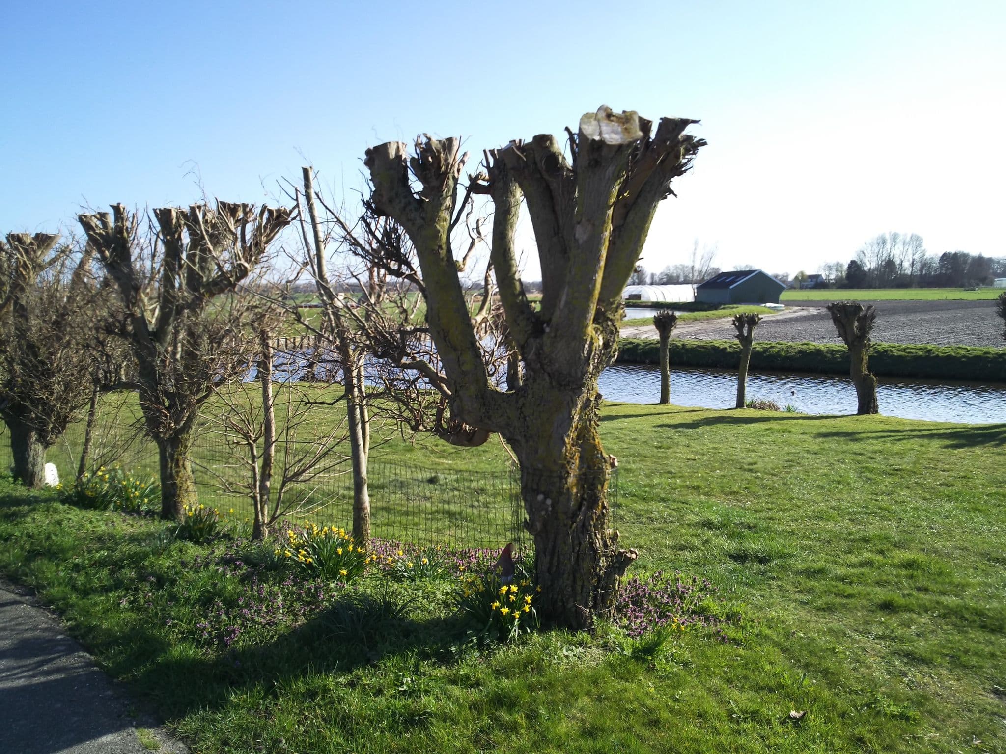 Street view near Camping Het Engeltje, Sassenheim — © multi_vaarwegen (CC BY-SA · Mapillary)