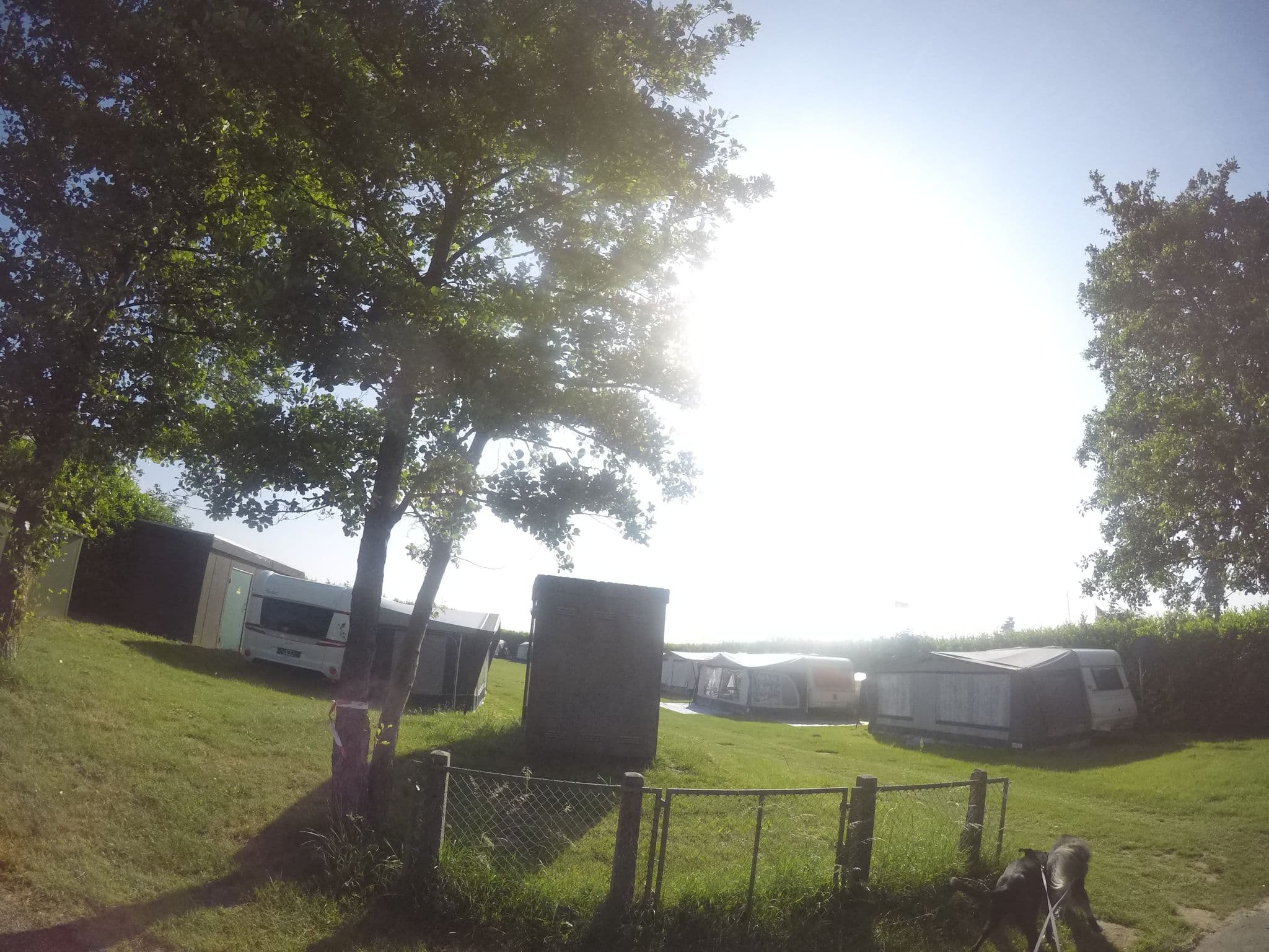 Street view near De Mars, Rheden — © geo_jan (CC BY-SA · Mapillary)