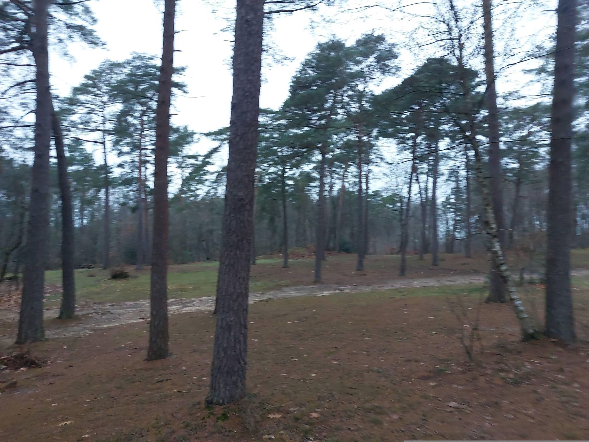 Street view near Kampeerterrein Lheederzand, Dwingeloo — © quintenv (CC BY-SA · Mapillary)