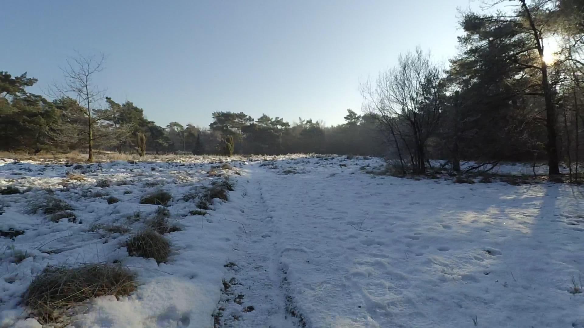 Street view near NTKC Den Treek, Leusden-Zuid — © peewee32 (CC BY-SA · Mapillary)
