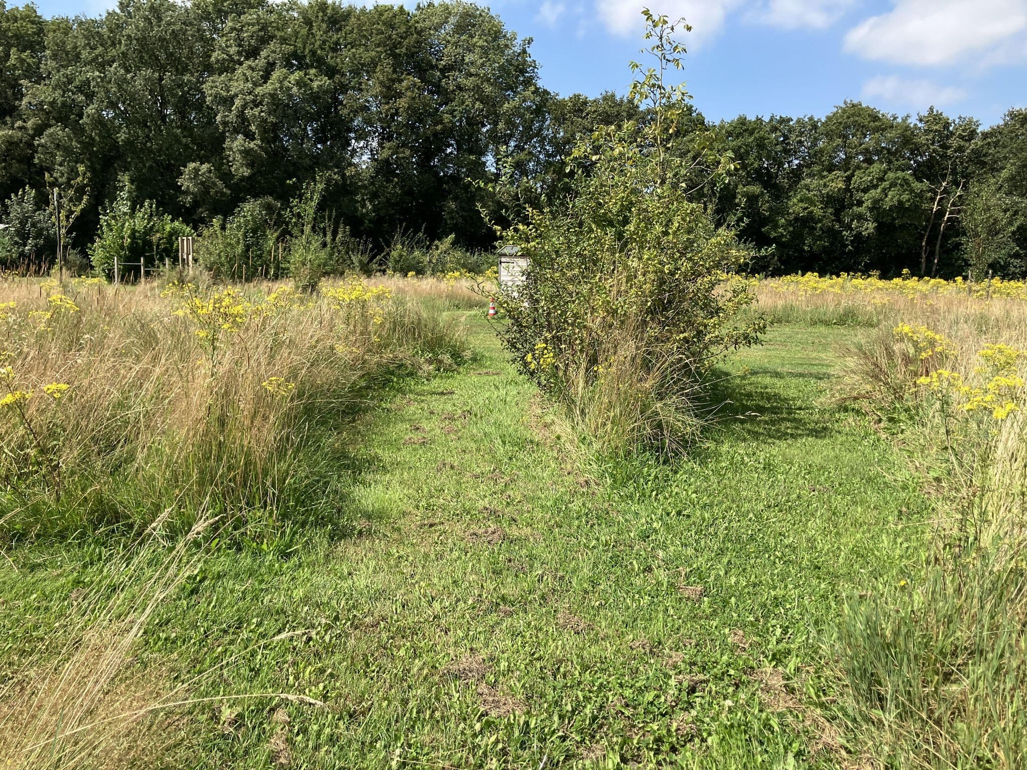 Street view near De Heerlijkheid Vorenseinde, Rucphen — © freekfreek (CC BY-SA · Mapillary)