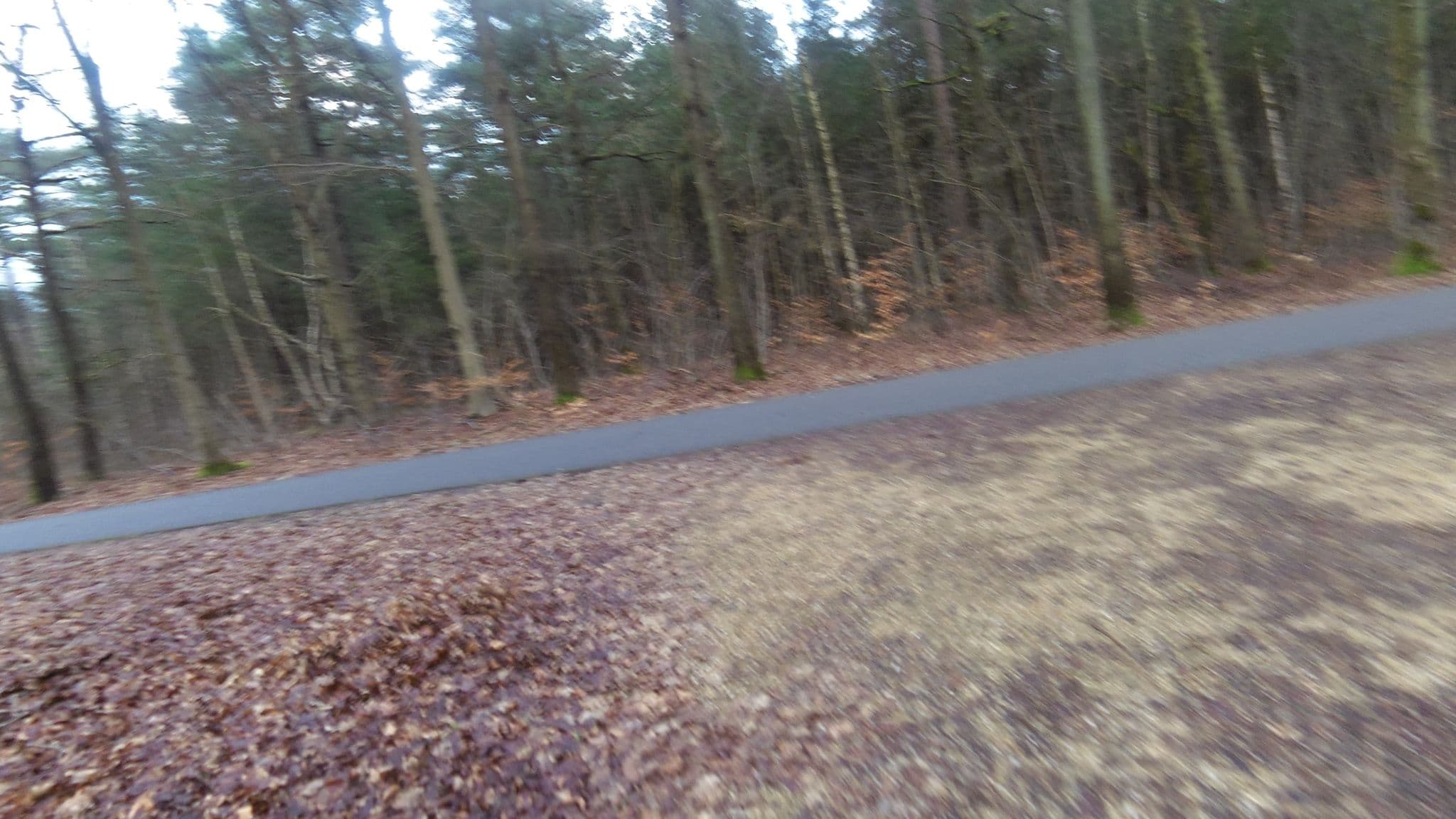 Street view near Blauwe Reiger, Schoorl — © multimodaal (CC BY-SA · Mapillary)