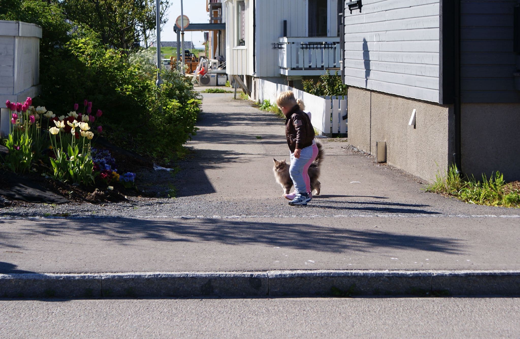 Street view near Hotell Marena, Andenes — © allefm (CC BY-SA · Mapillary)
