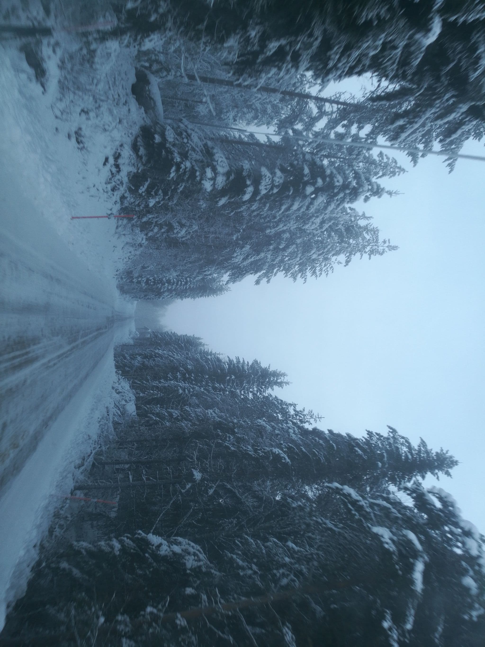 Street view near Fall, Kirkenær — © oyvind (CC BY-SA · Mapillary)