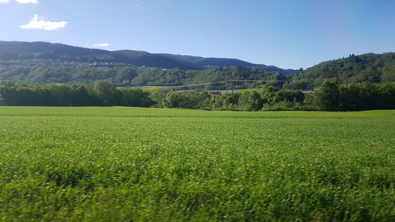 Street view near Karivollen, Melhus — © pbb (CC BY-SA · Mapillary)