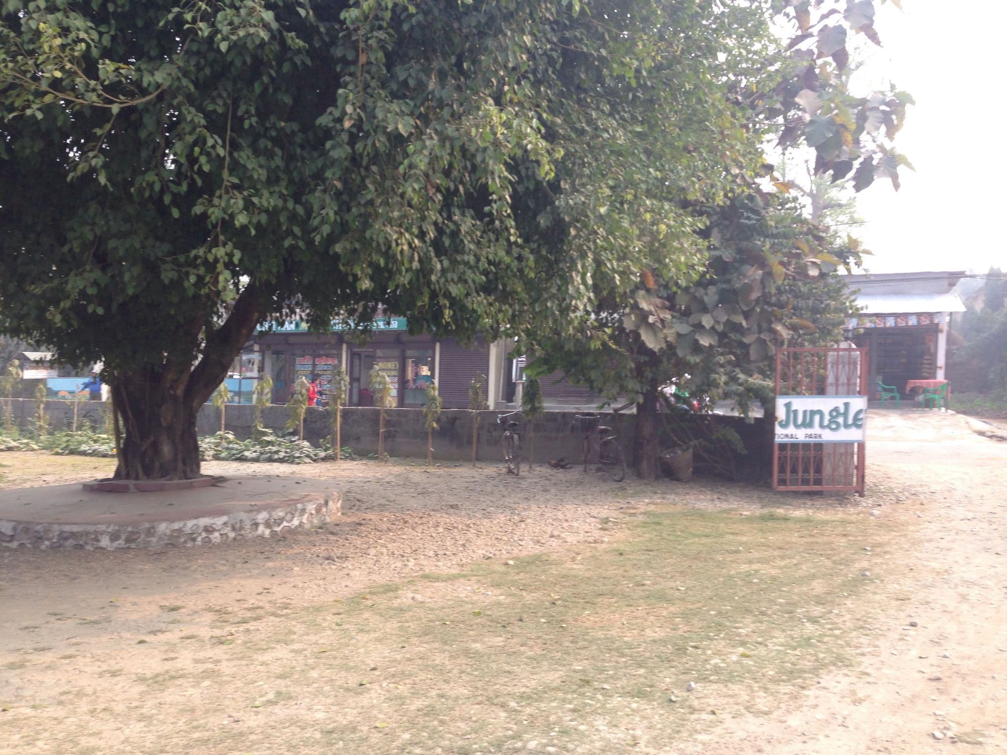 Street view near River View Jungle Camp, Bharatpur