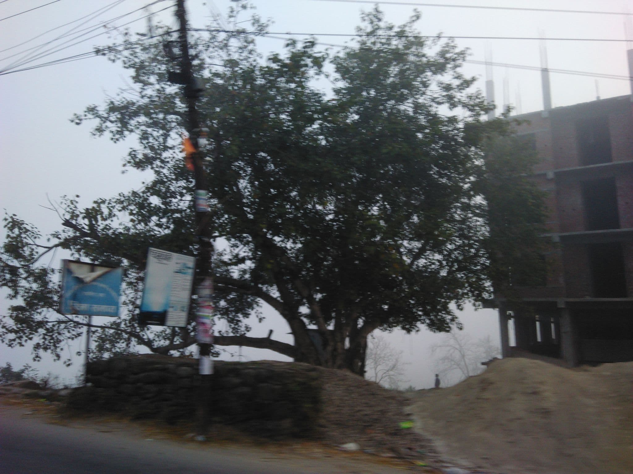Street view near hotel tirupati, Bharatpur — © thapa7 (CC BY-SA · Mapillary)