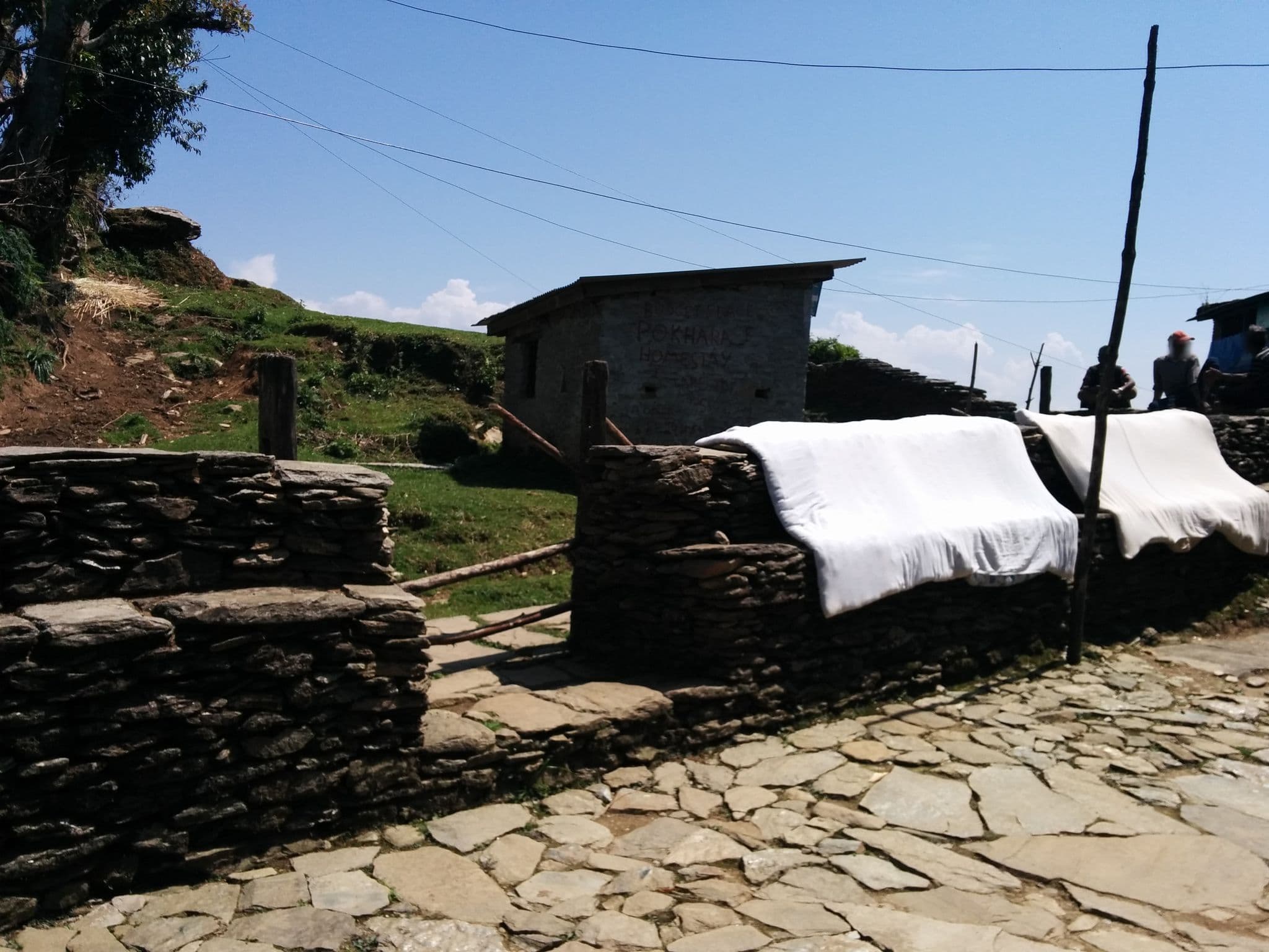 Street view near Green Village, Kusma — © sashazykov (CC BY-SA · Mapillary)