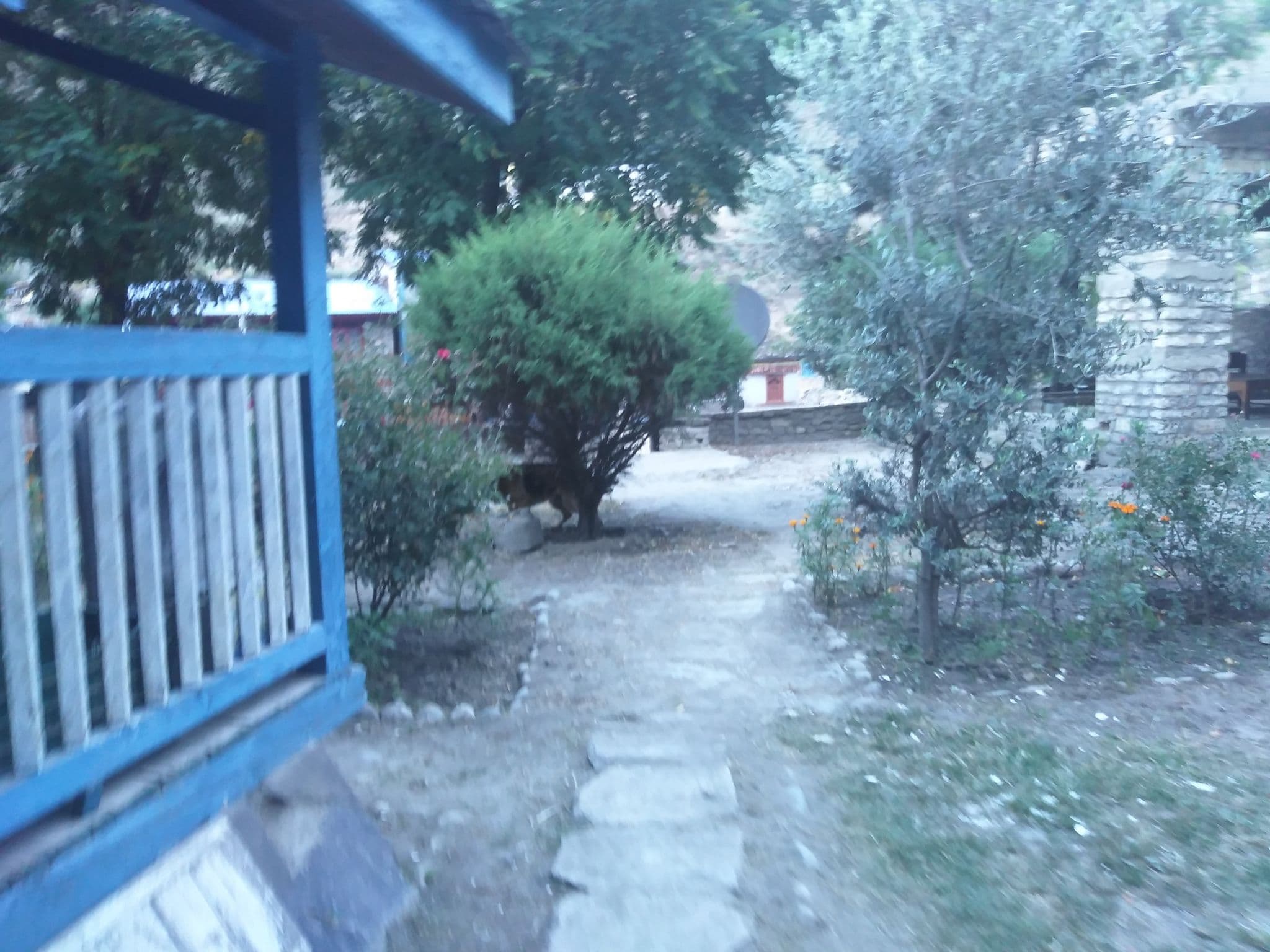 Street view near Hotel bluesheep, Jumla — © creepy (CC BY-SA · Mapillary)