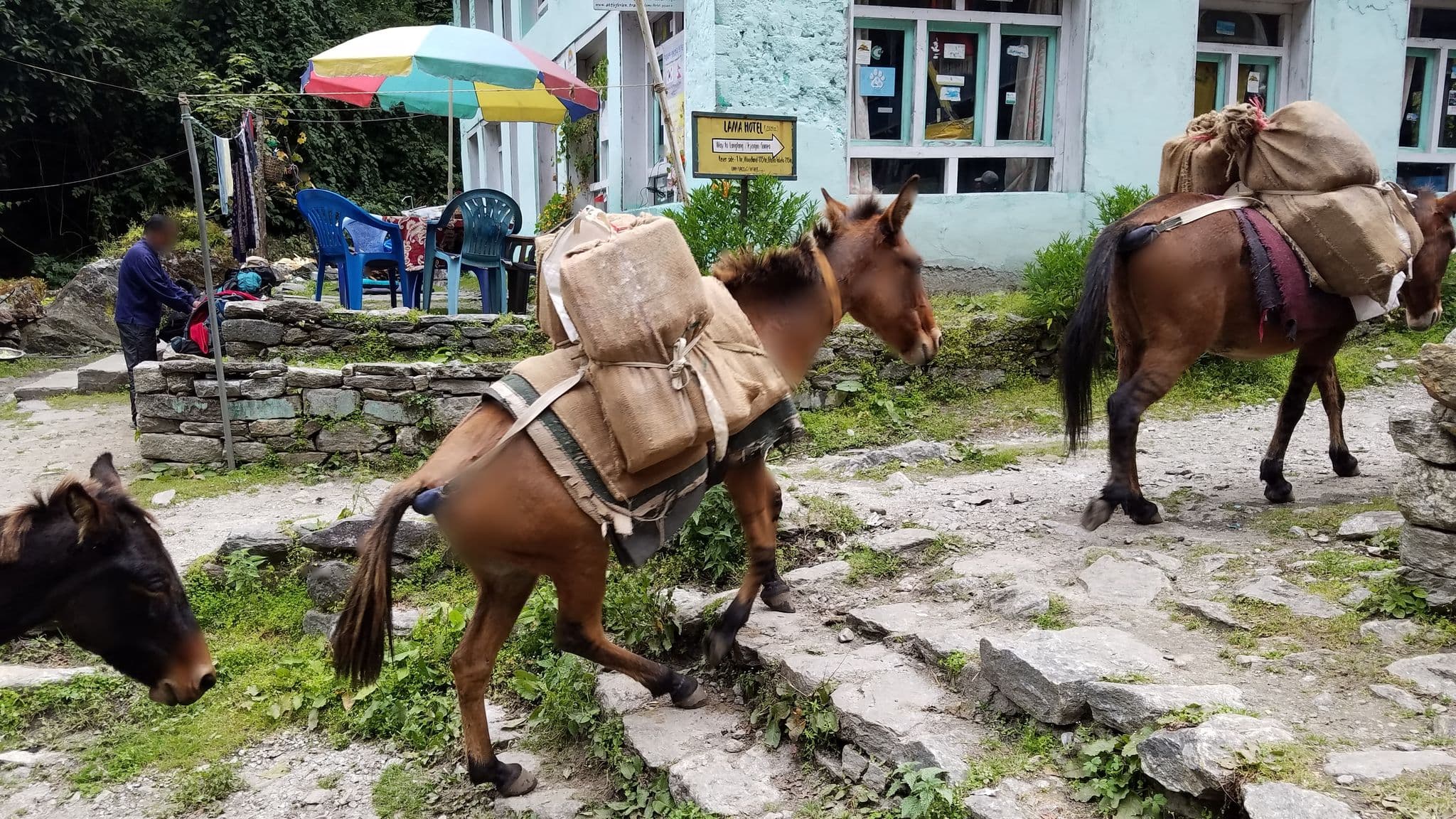 Street view near Sherpa Hotel, Chapali̇̄ Bhaḍrakāli̇̄